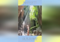 神奶？小软和双子可以起手和T换，没有什么比得上神奶站撸的了