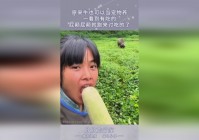 宠物蛋_是后期的DLC内容较少，玩家可以看到马厩周围有动物