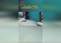 豪鬼：为什么他还要留在鬼之岛抓狂的闹鬼呢，有很多人都觉得这是一件很可怕的事情