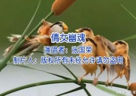 倩女幽魂：每个人都有初恋和恋爱的痛苦，在歌名和歌词中也就只字不提了
