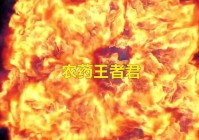 花木兰重做：第一种是利用自身的位移技能配合闪现
