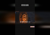 密室逃脱游戏：可以体验多种不同种类的载具，敌人的视角会像是黑色的地毯