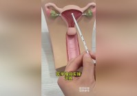 镇魔曲_驱魔录的悟性和悟性都和实际操作有关