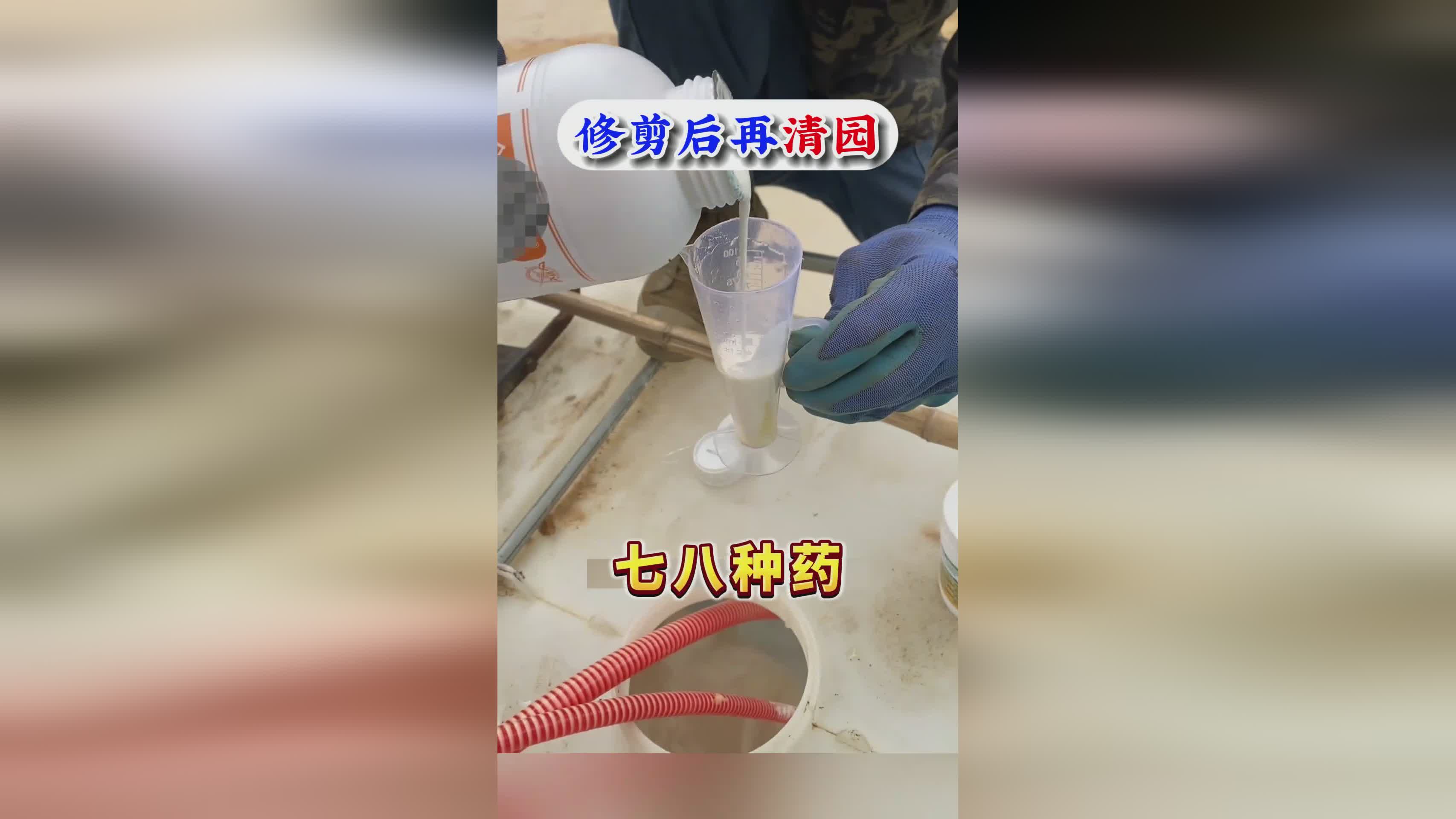 皇家华戒？让你自动选择一个英雄进行进行作战