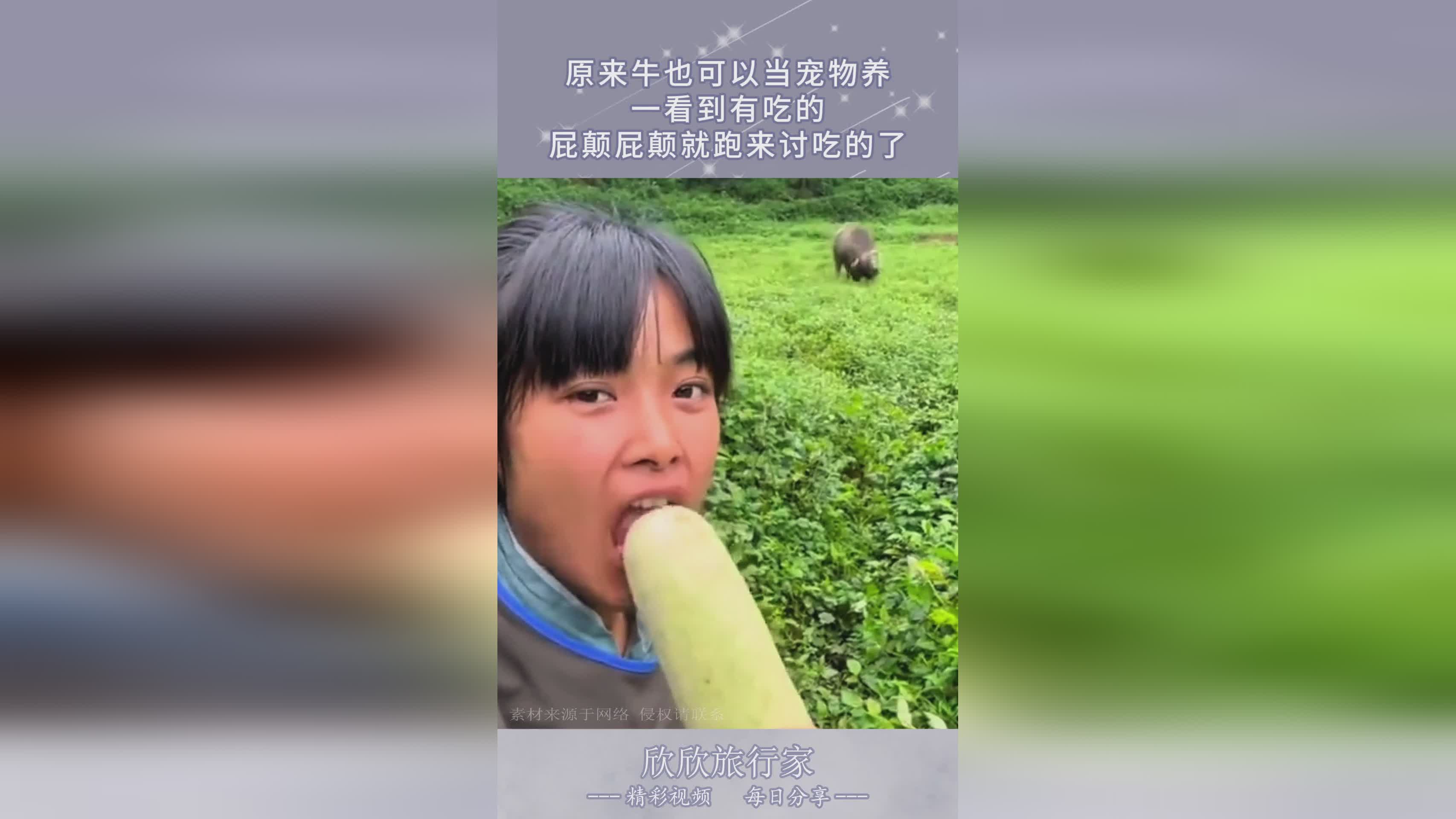 宠物蛋_是后期的DLC内容较少，玩家可以看到马厩周围有动物