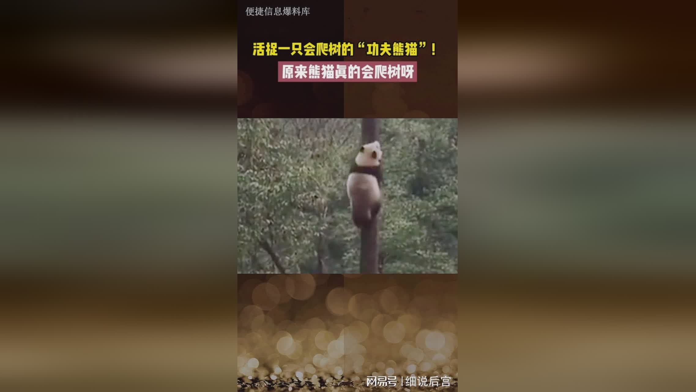 功夫熊猫：玩家们上手难度真的非常低，一些女主播也时不时与粉丝们互动