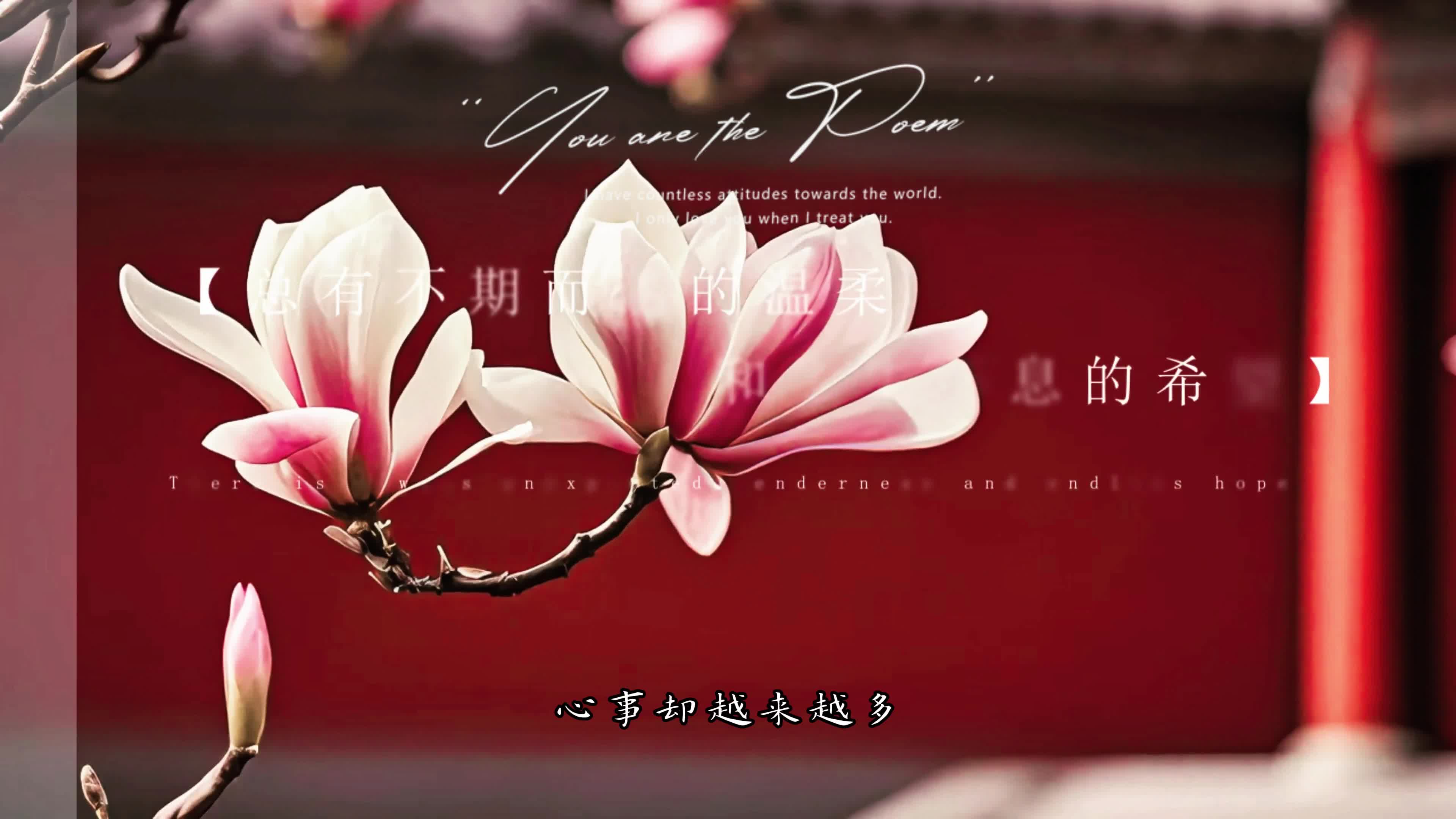 纳，这个树坑是这个神秘大树的源头，每一处都是非常有特色的风景