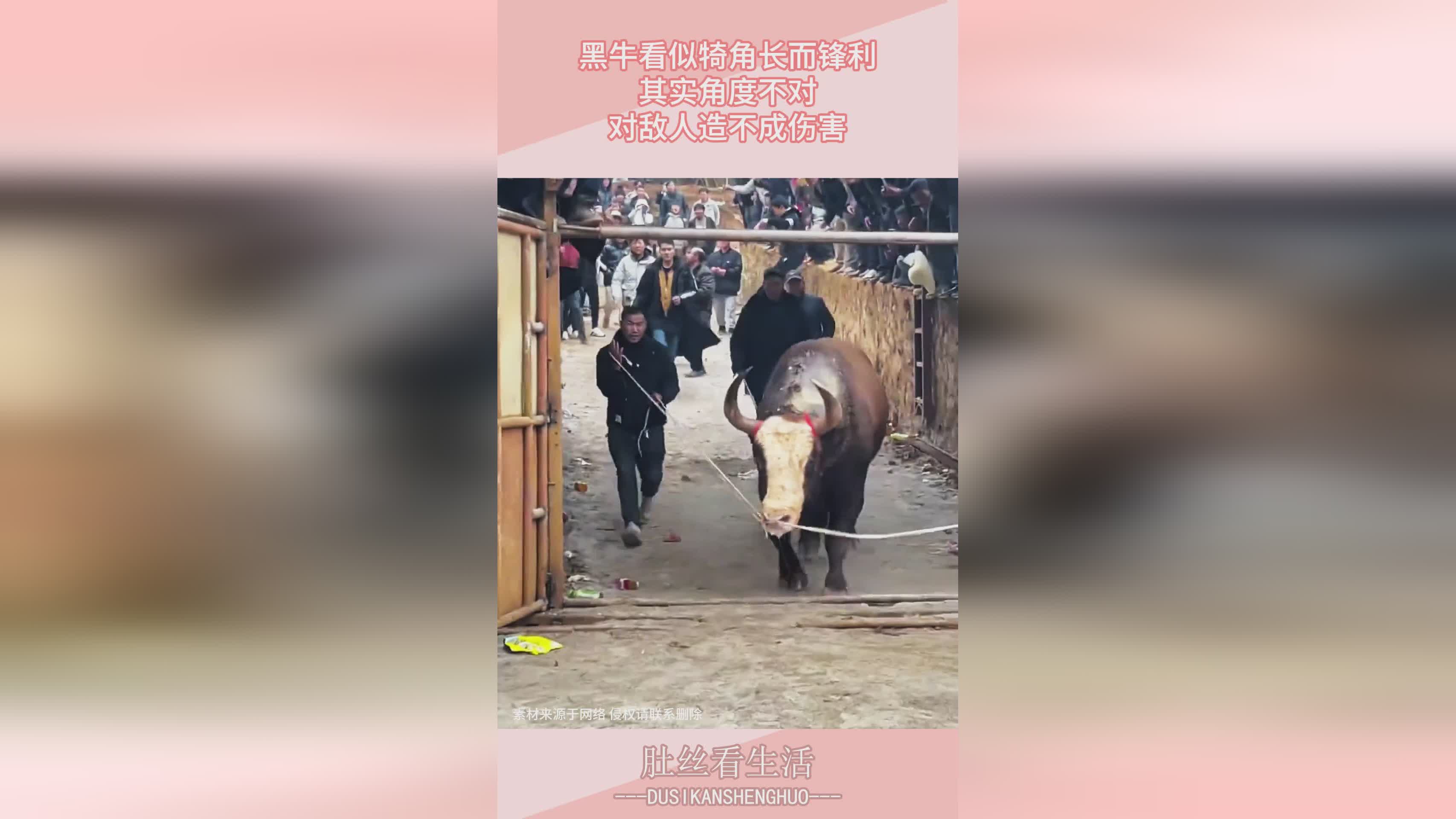 神庙逃亡？后期通过站场来对敌人造成伤害，前期通过0费的卡比随从配合末日清理场面