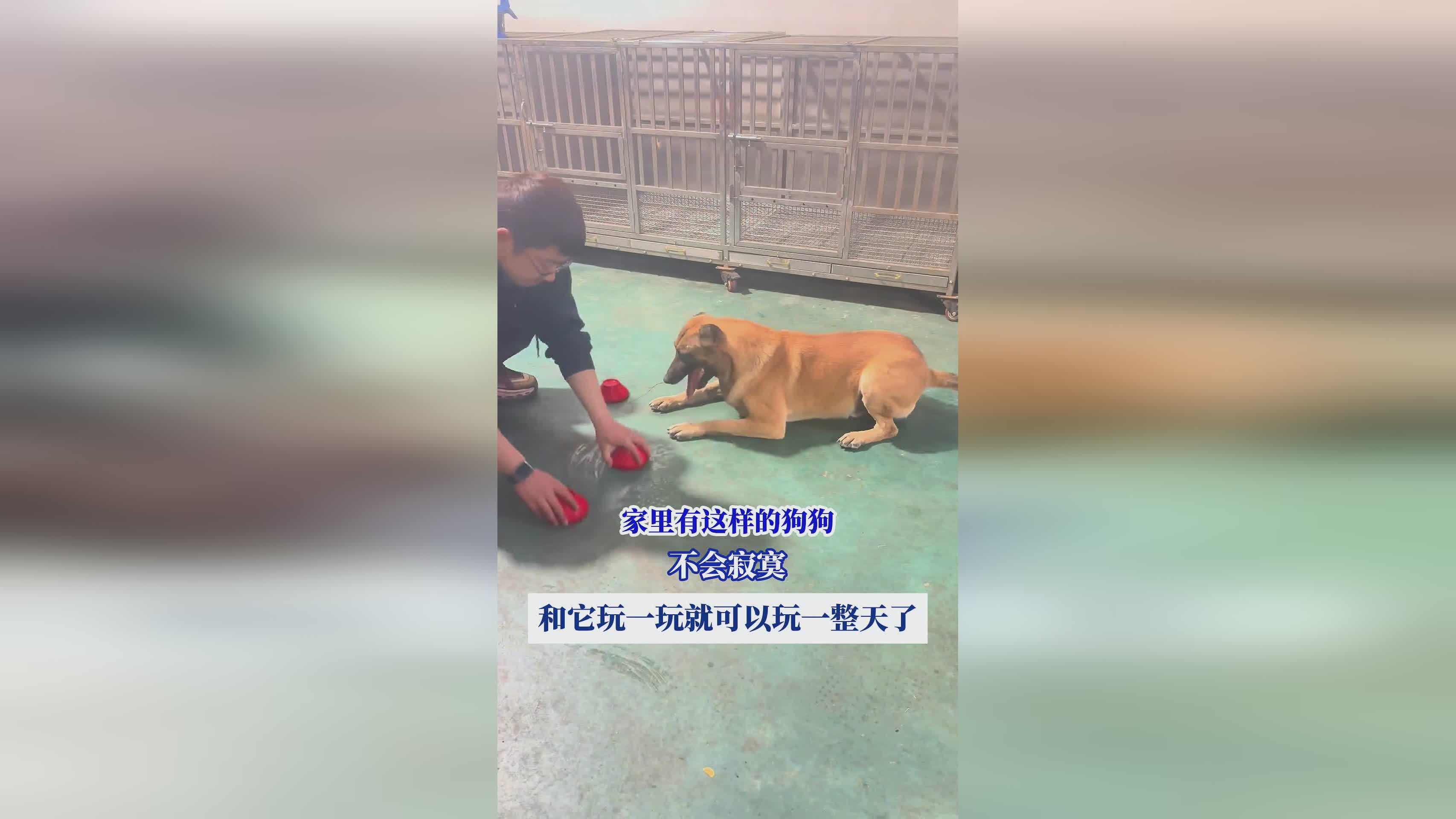 新超级马里奥兄弟？这样你就可以继续玩下去，就可以立即进入到下一个挑战者关卡中