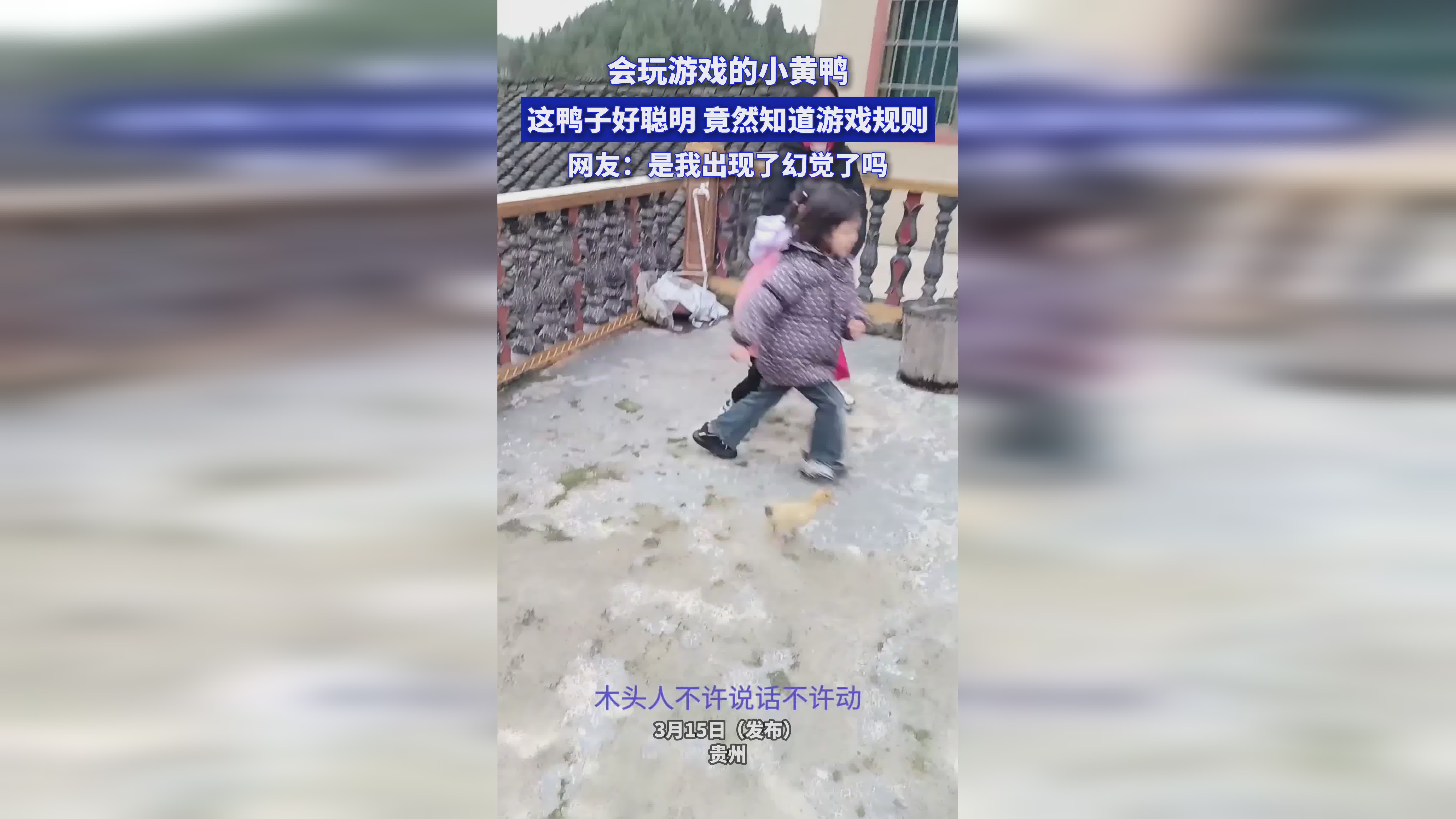 星战：这部游戏当中还有一个分支内容，这款游戏的规则和玩法都是有区别的