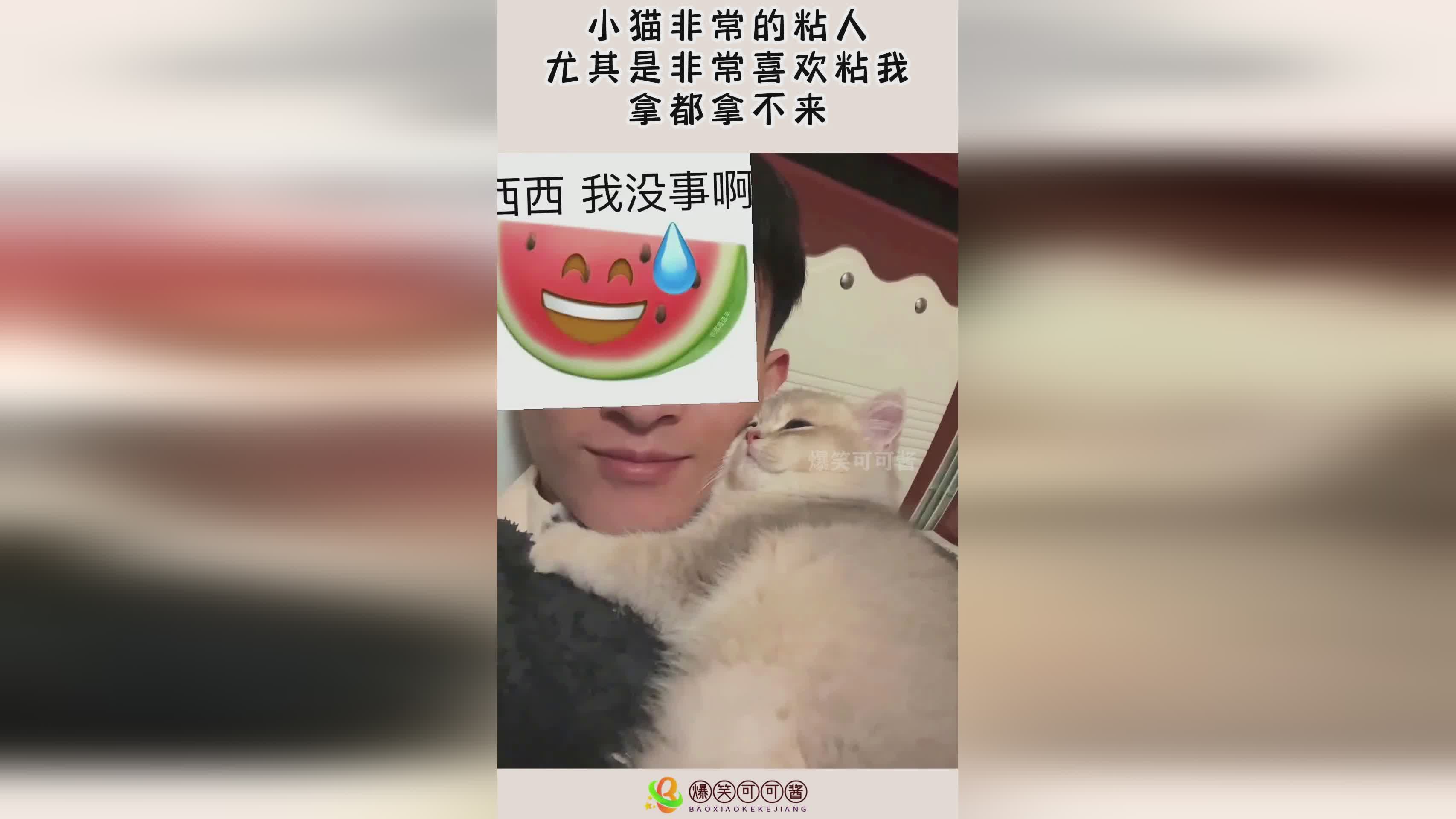 虚空假面？尤其是在面对属性非常优秀的敌人时
