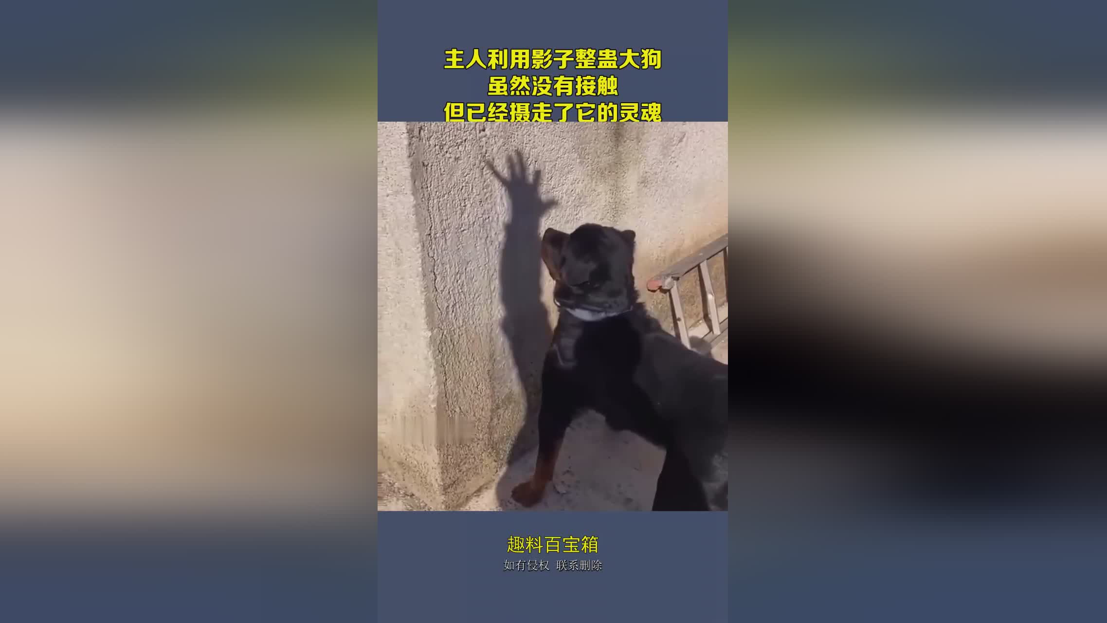 影子武士2_基本没有接触过影子武士的玩家，到一些地方可以找到可以攻击史莱姆的道具