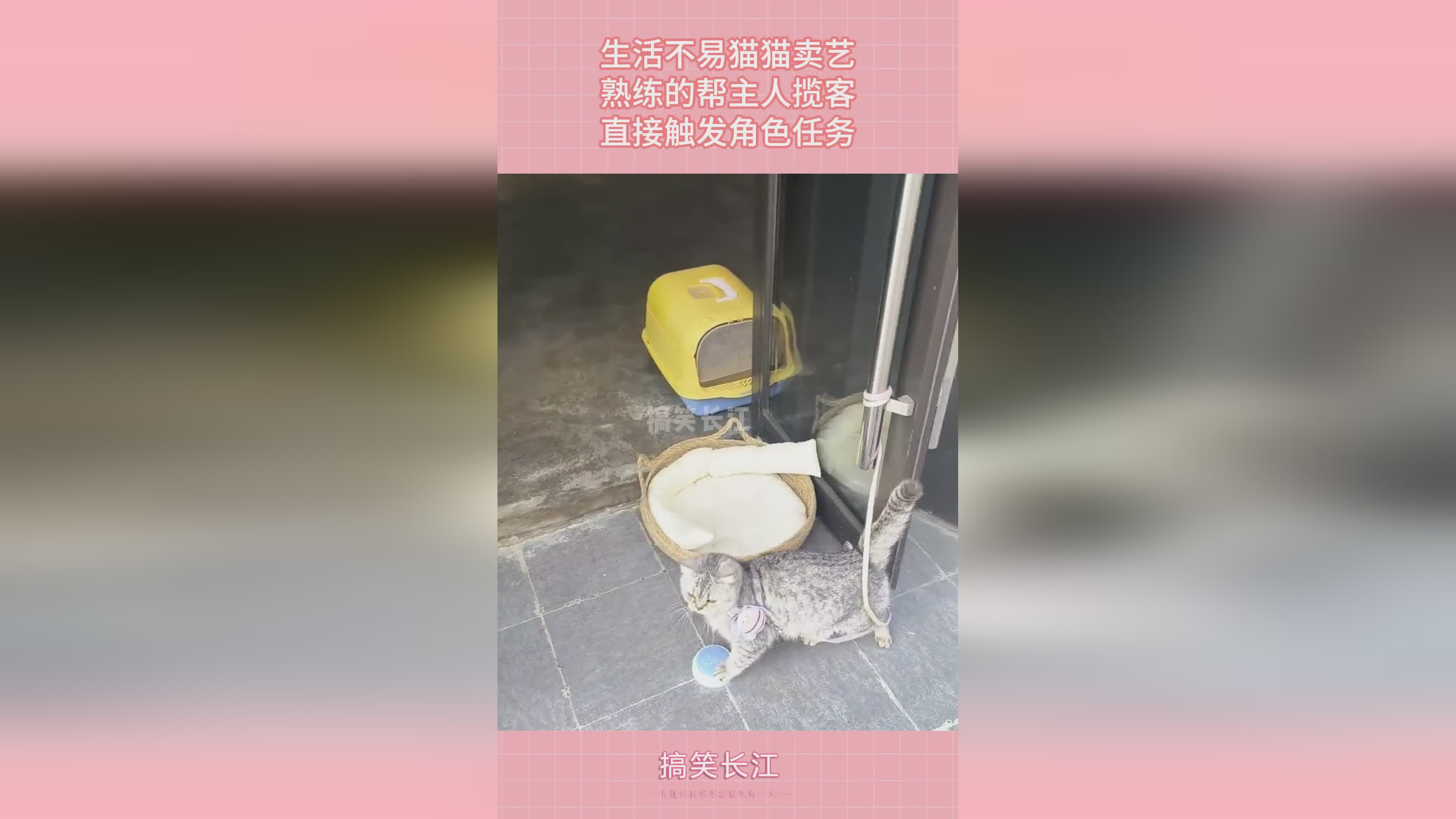 御龙？大家在做任务的时候一定要注意，任务触发的时候有一个与妖仙的线索