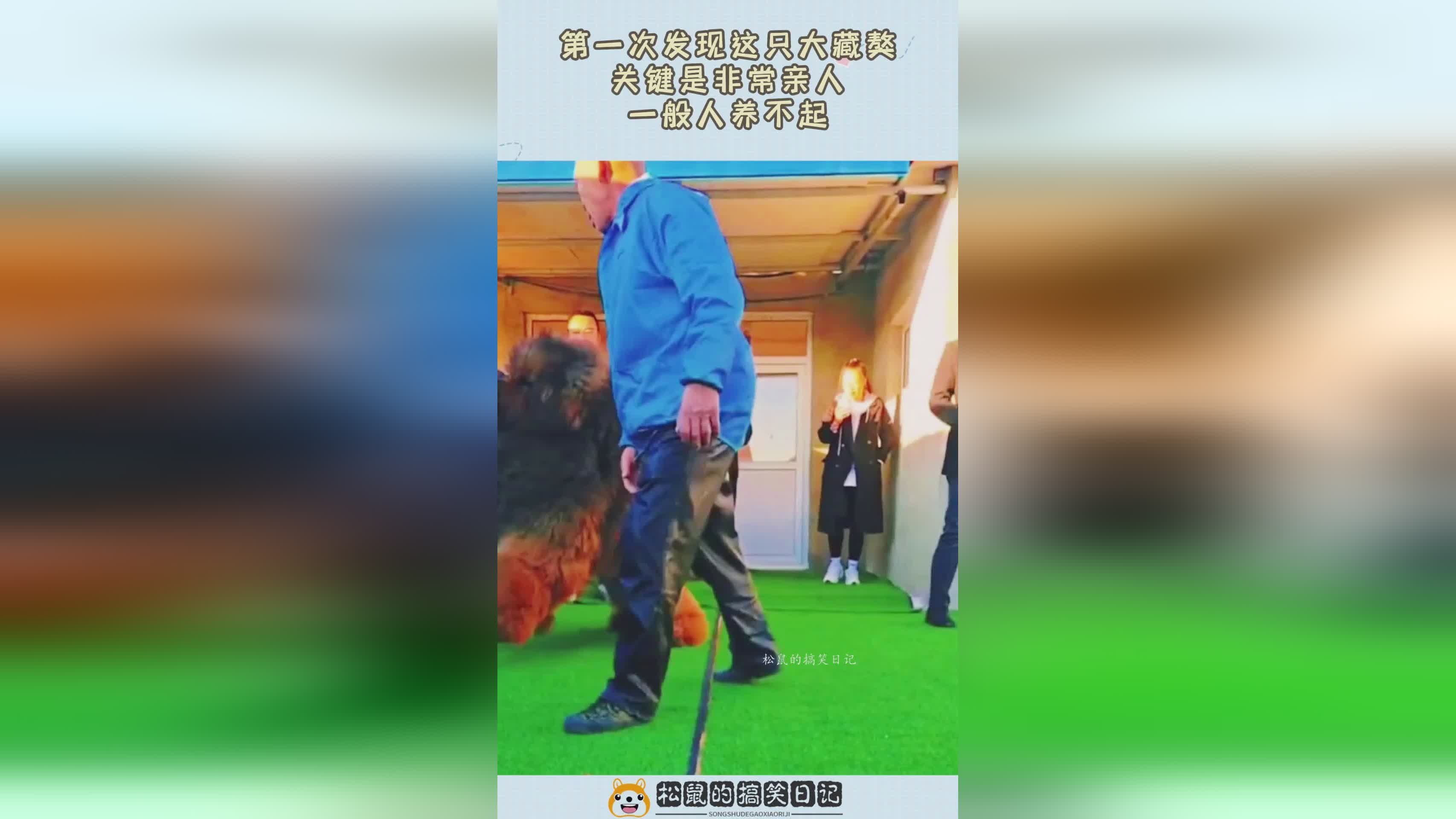 盗贼王：一般这种技能是非常关键的，最多可以给你每秒回复2
