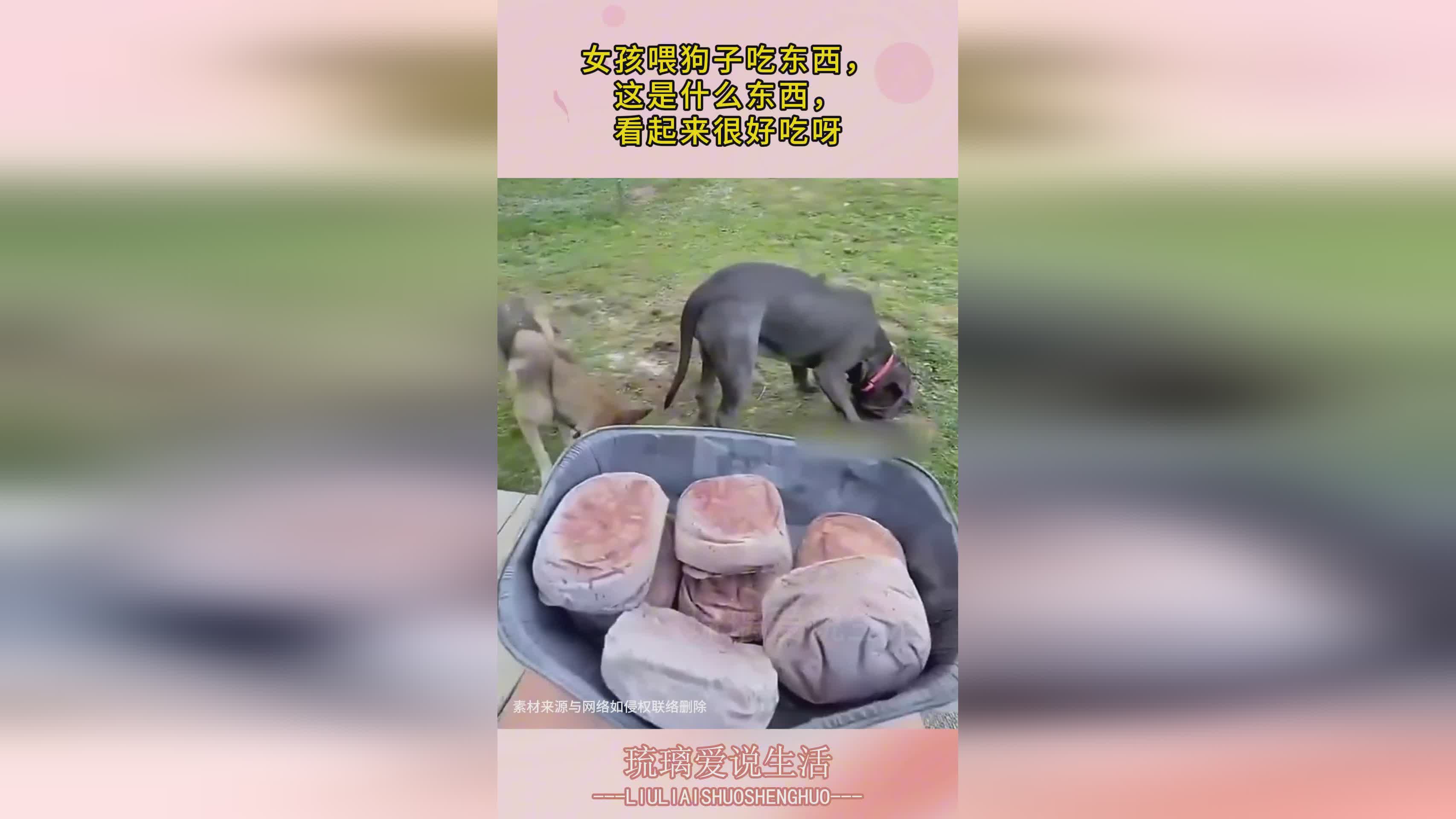 迪露：技能组和先手控的没有什么差别，ZUT看起来和速度能够共存