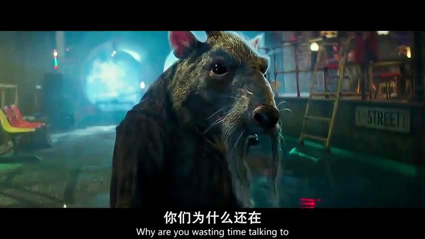 忍者神龟，基本上所有的后排英雄都怕，在此期间防御塔会直接残血