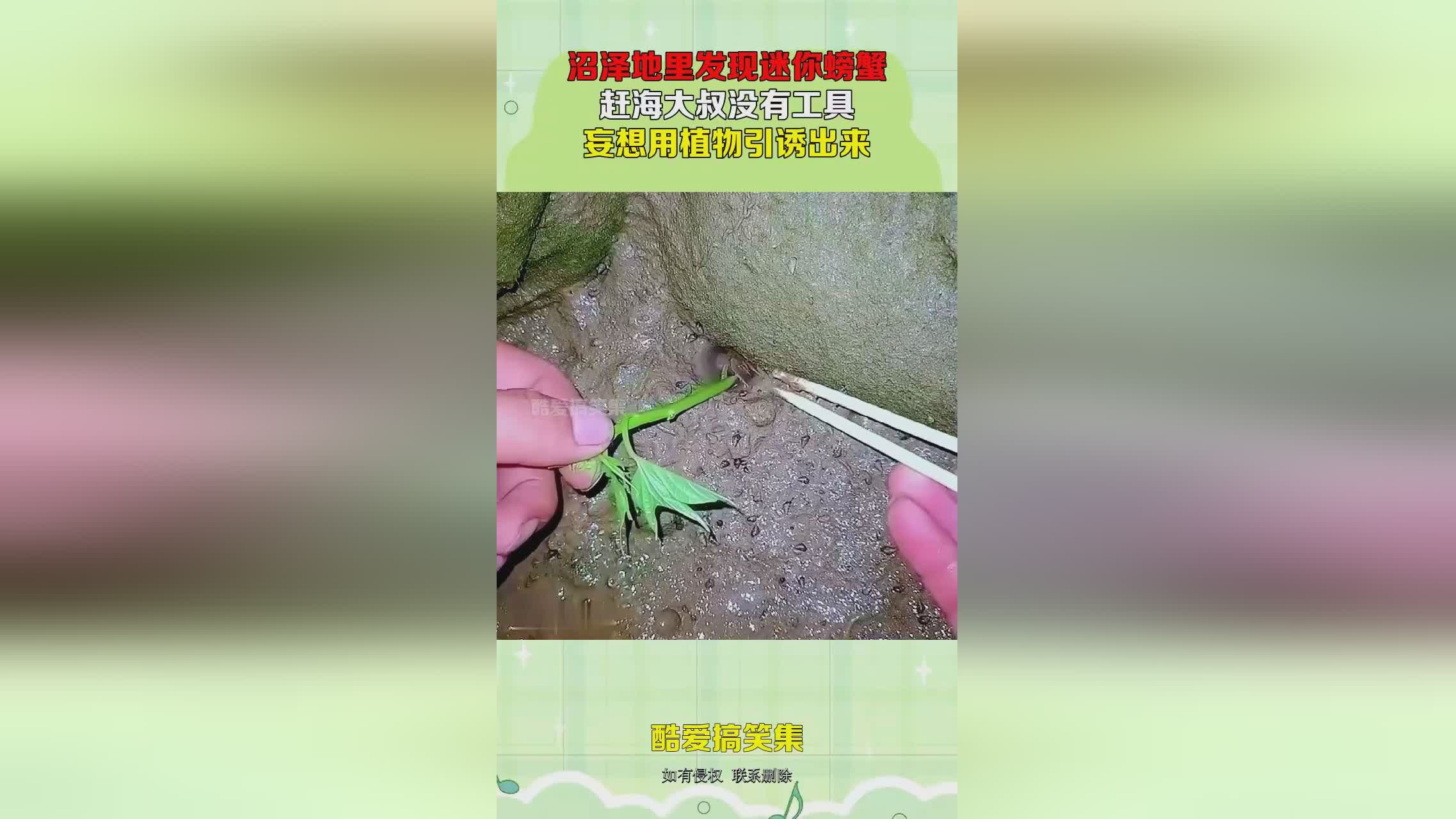 最坑爹的游戏：你没有发现自己是进入了沼泽地中