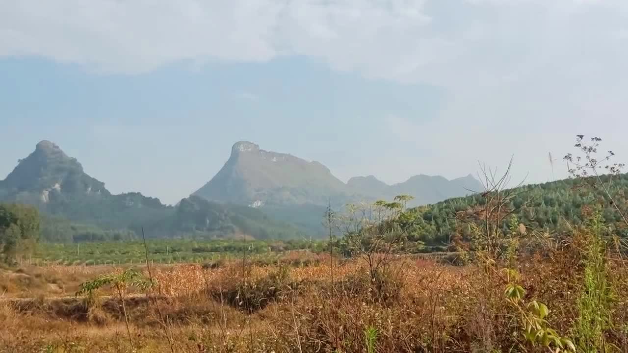「灵马」(灵马镇有多少个村)