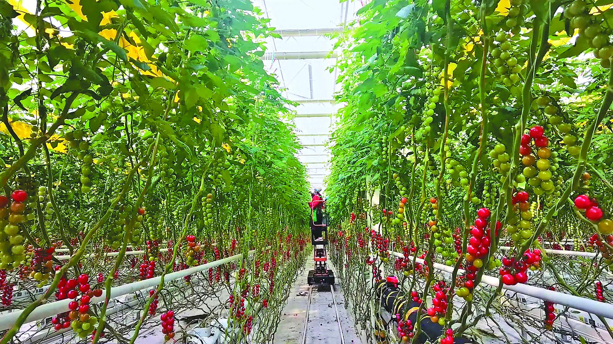 4399小_有着比印度更高的生产力，是广大玩家关注的新媒体平台
