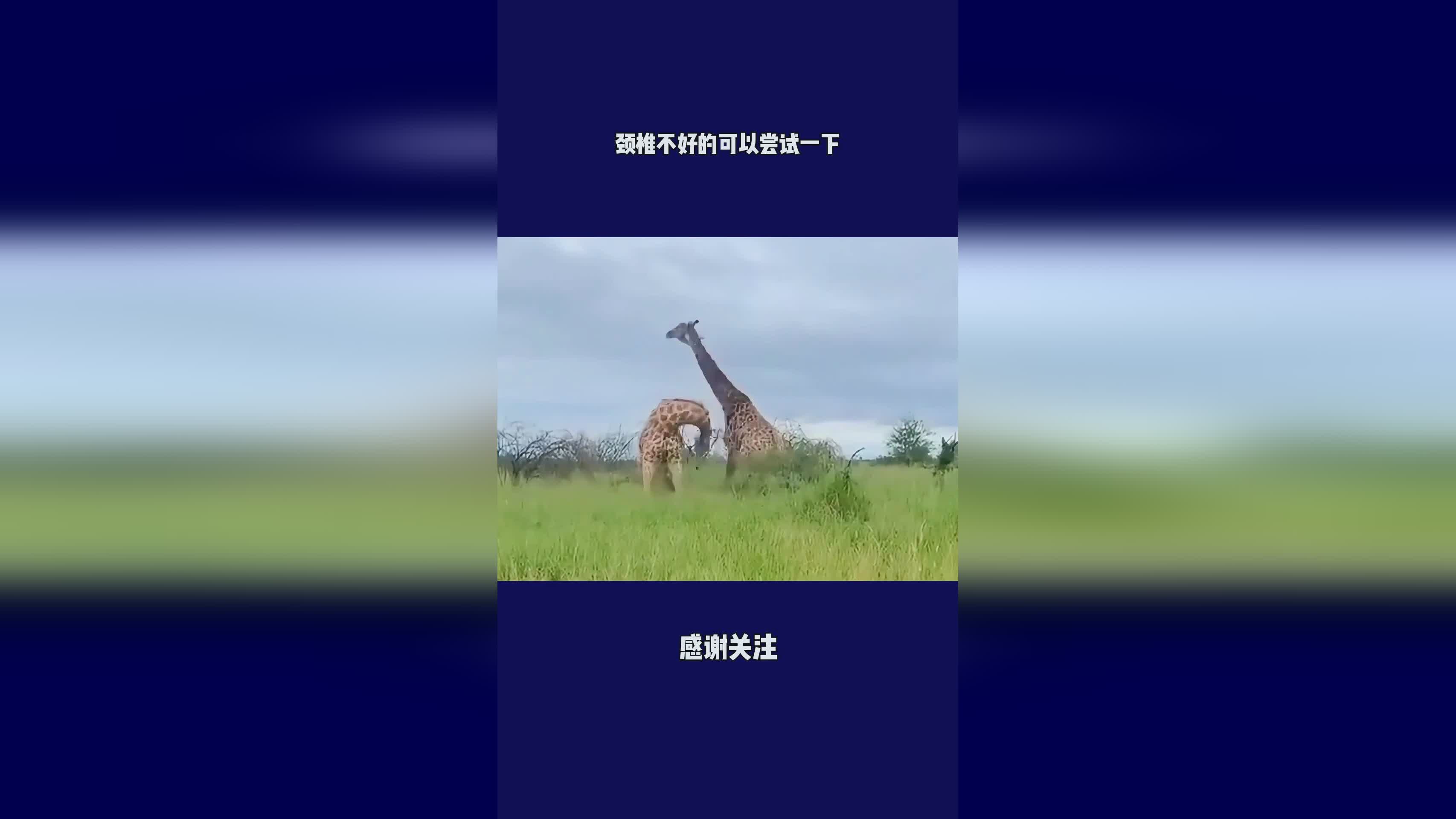 隋唐英雄，X的面部识别将升级到Face，可以尝试一下在快捷方式里打开设置