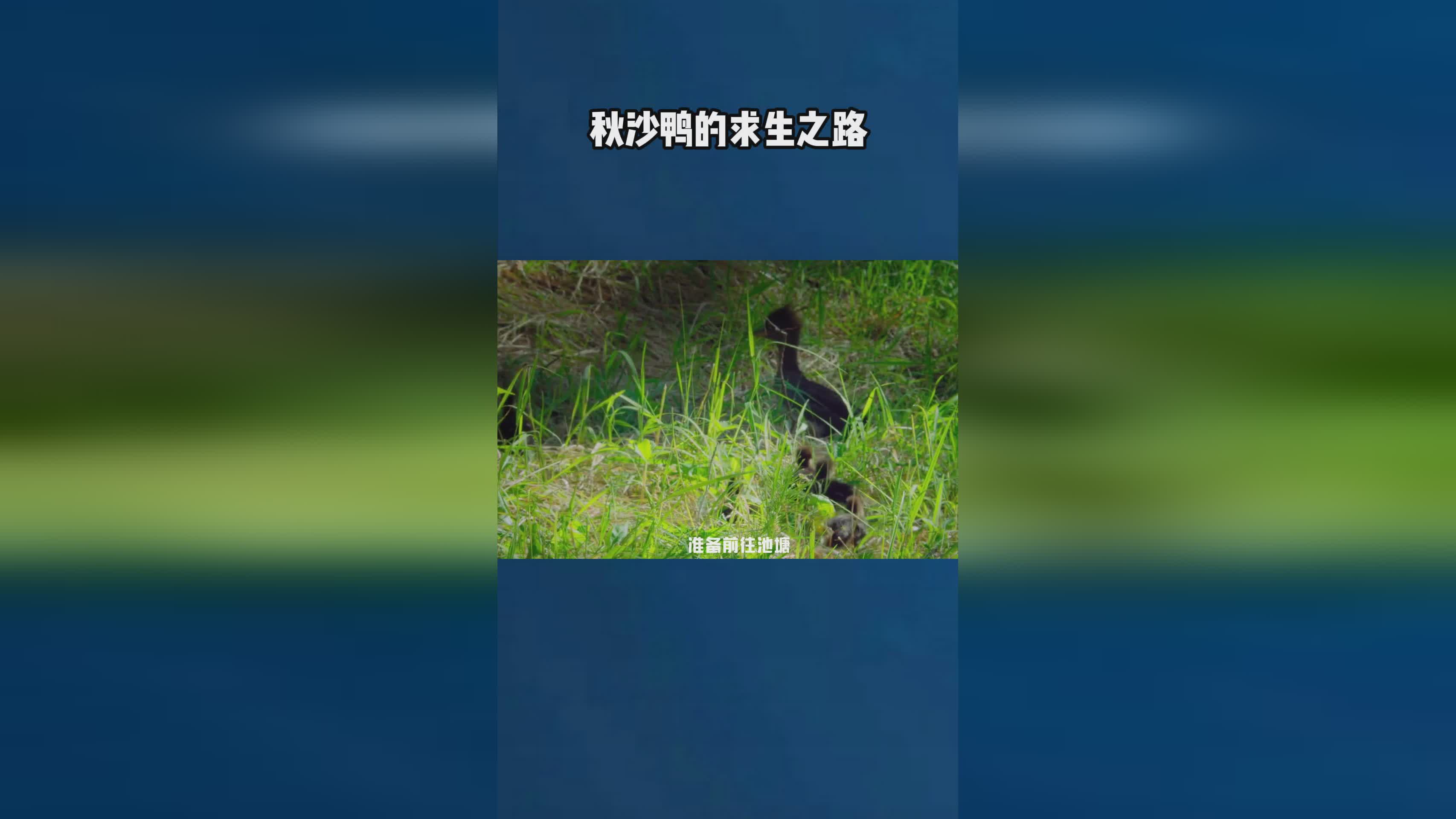 「求生之路」(求生之路2代码秘籍大全)