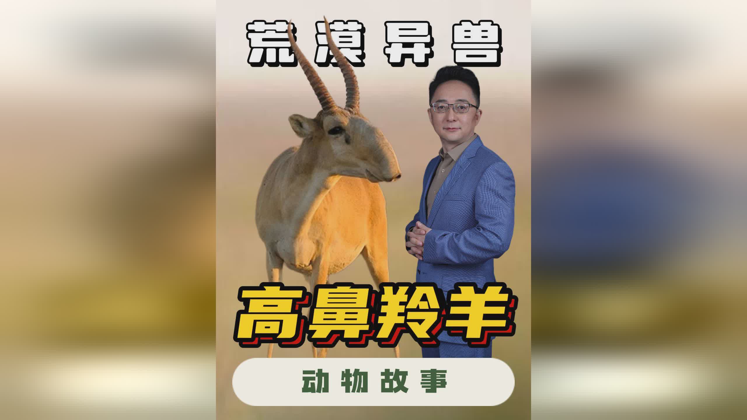 「神奇动物在哪里」(神奇动物在哪里电影免费观看高清完整版)