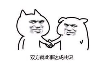 「圣盾骑」(圣盾骑士琳特安卓汉化版)