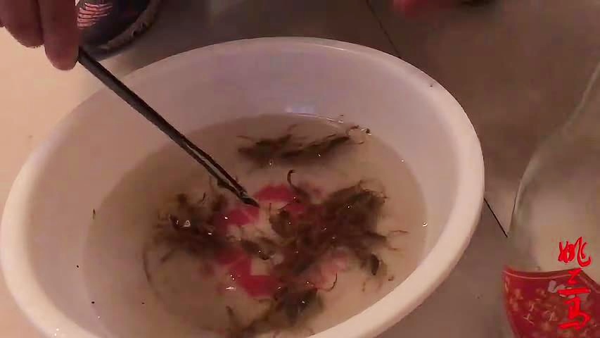 「蝎子打野」(蝎子打野的几点技巧)