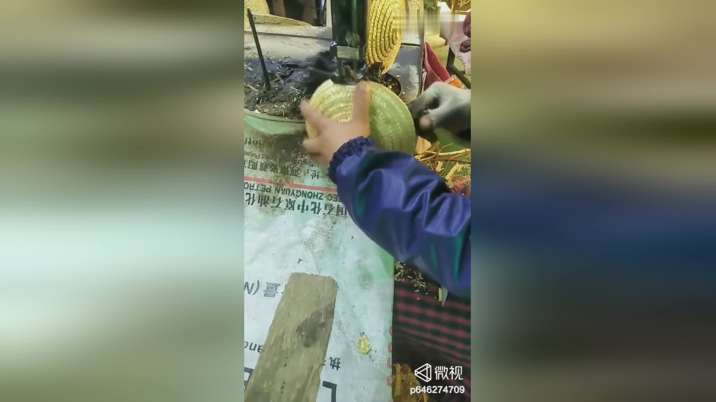fgo万圣节复刻？必须得等到下一次才有机会抽到