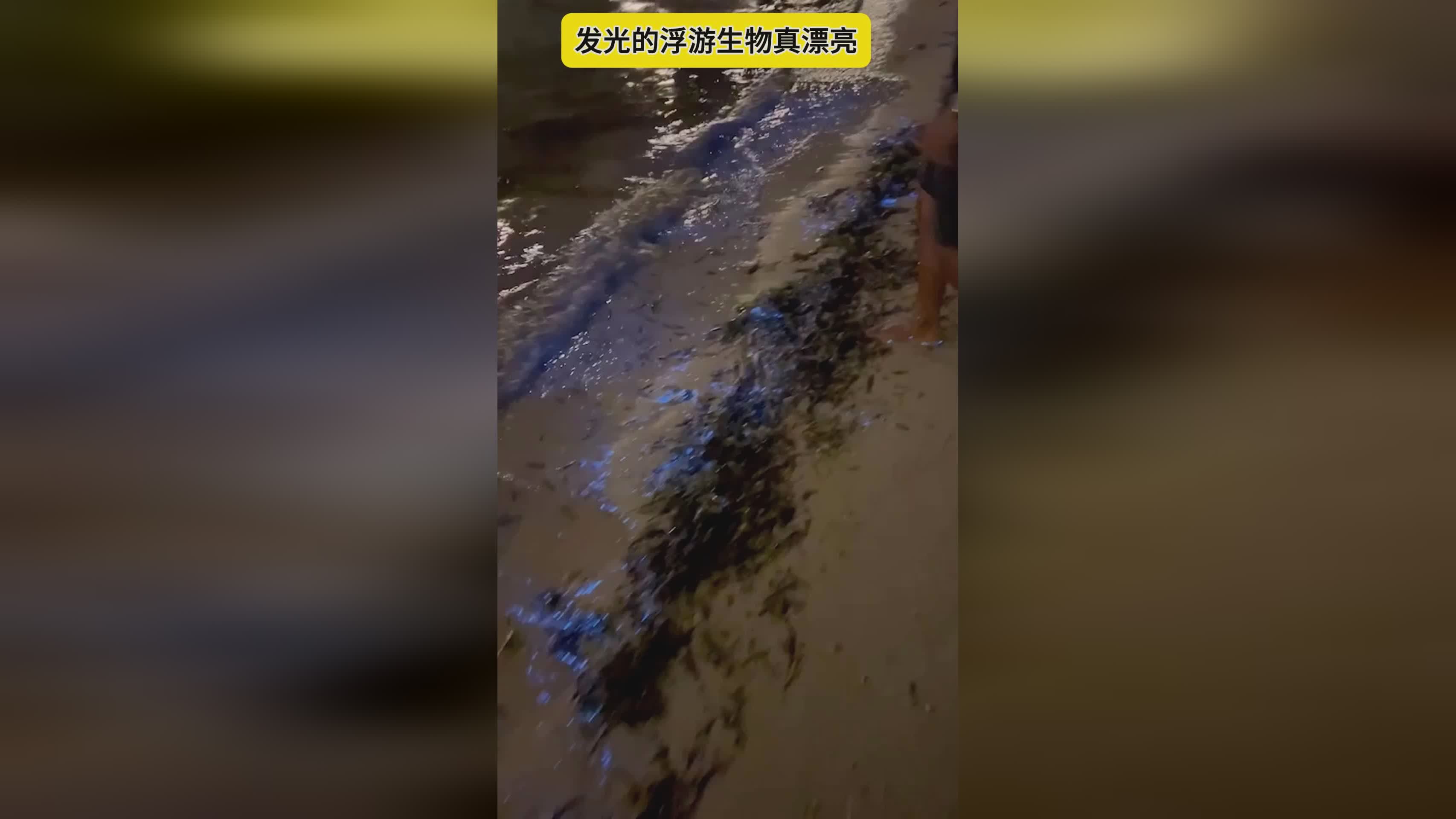 浮游？浮游生物与浮游生物的爬行，你需要将树上的藤蔓清除