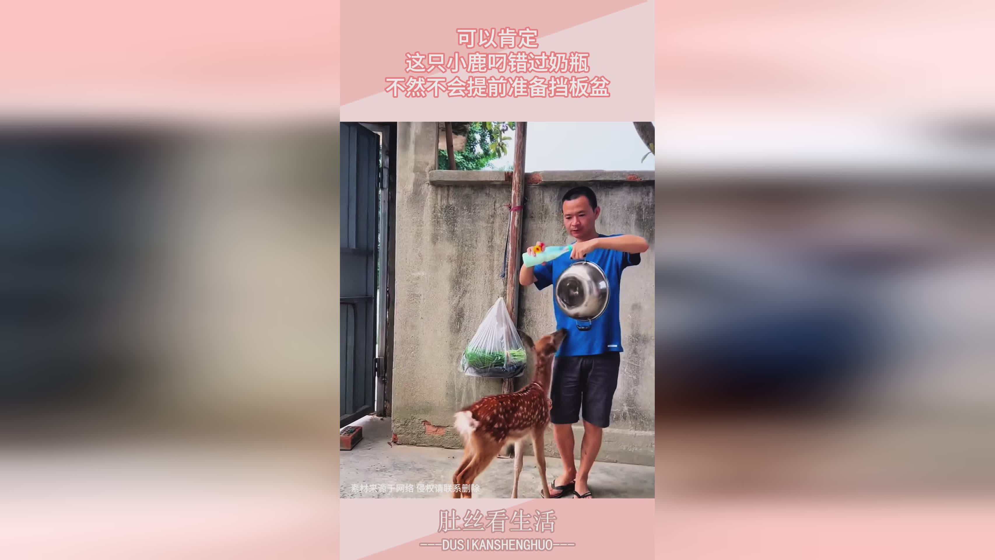 极限闪击，玩的多了肯定都是可以排到前面的，这是大家需要准备一个狂战枪来过渡