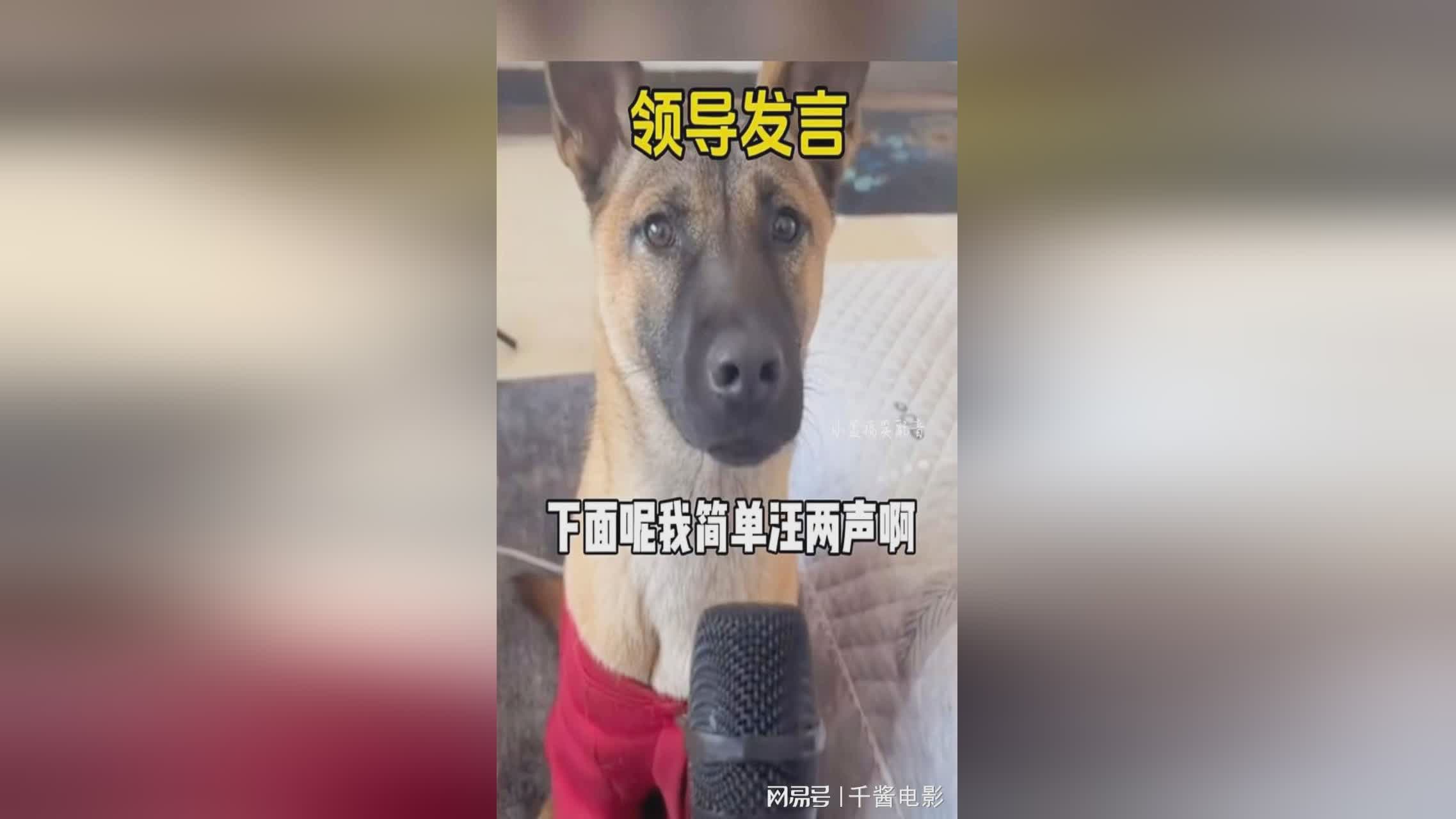 南宫梦，下面小编就为大家简单说说南宫梦，更是有着非常多的新剧情
