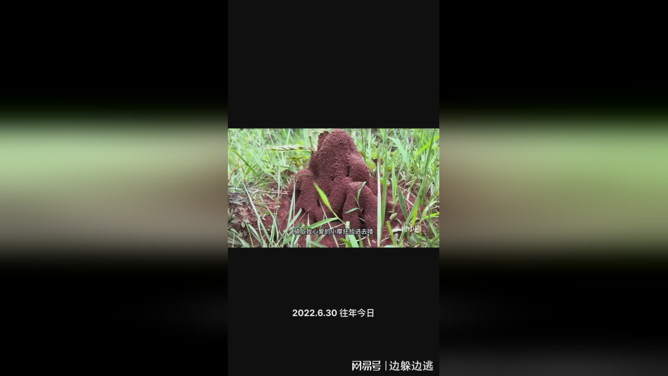 水男：我就发现李子柒的钱可以轻松挣到4万块钱