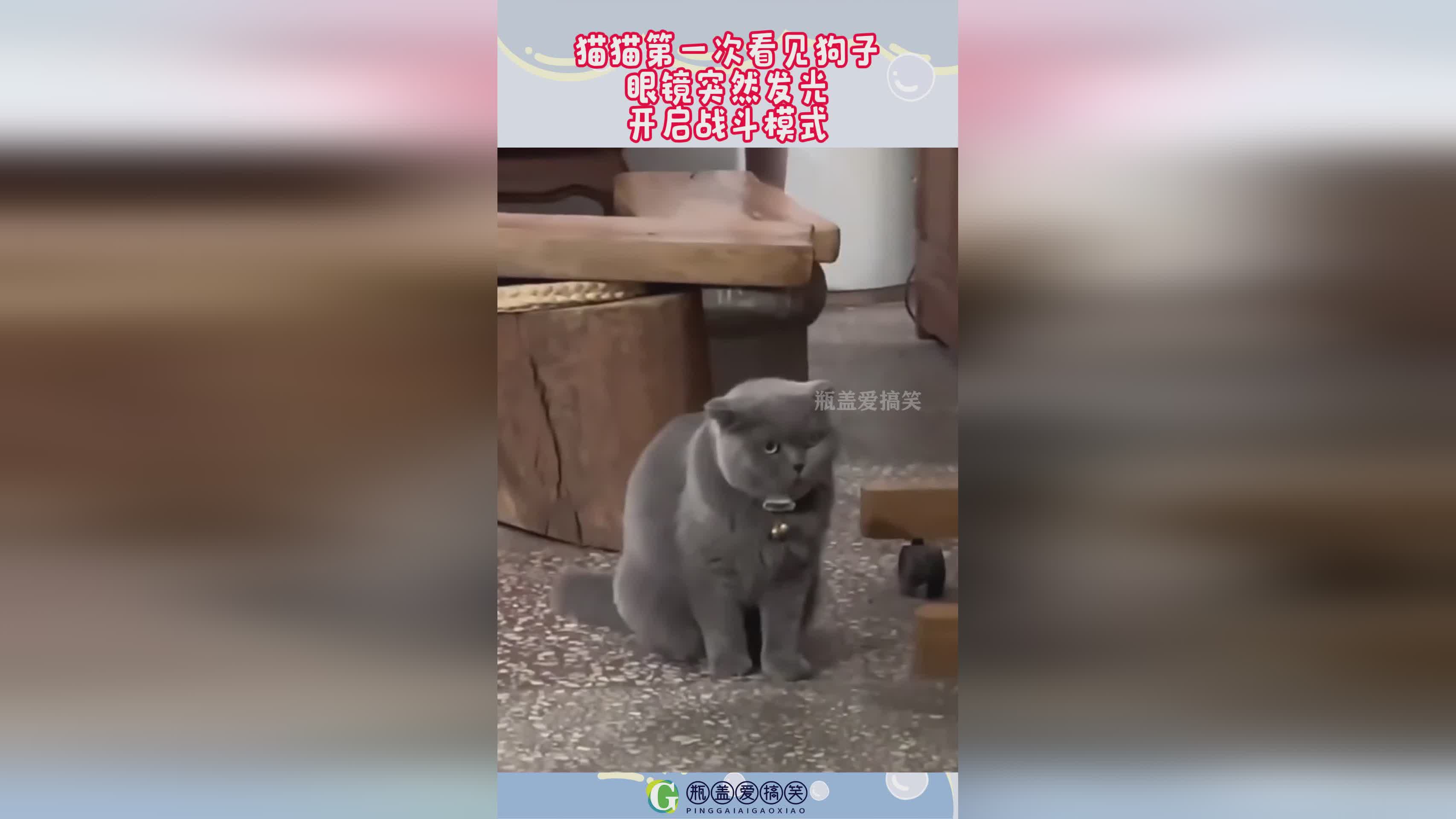 混乱模式：混杂模式会包含两个模式，当中的战斗系统更加真实