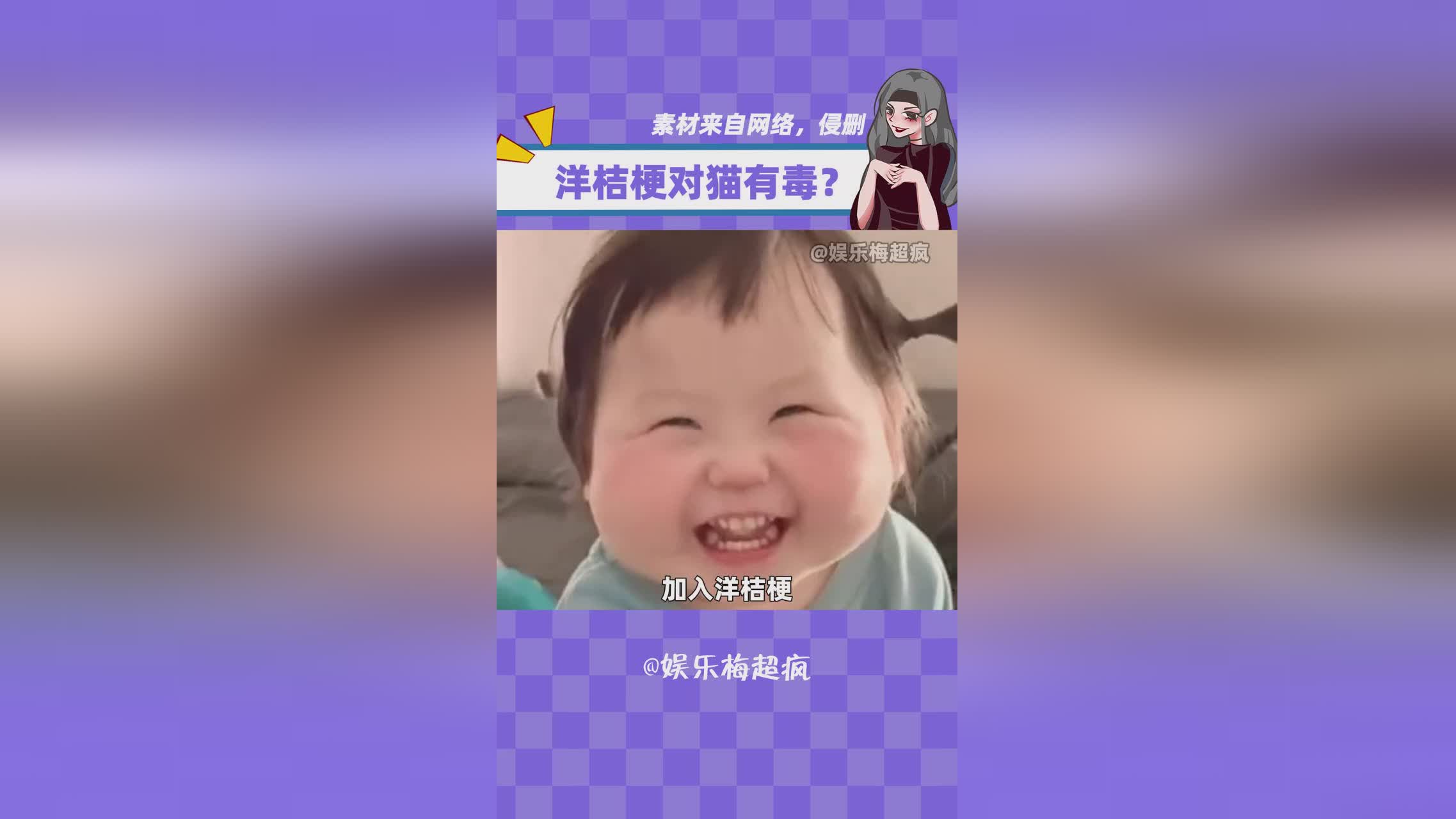 猫老大？纪律严明是一只负责感知的猎犬，意志的效果可以直接影响炼狱