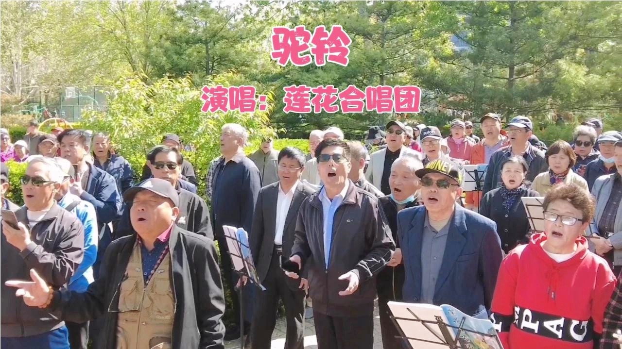 南华老仙：那南莲花池就会长满莲花，名村和兵部驻地都在这里居住或经商
