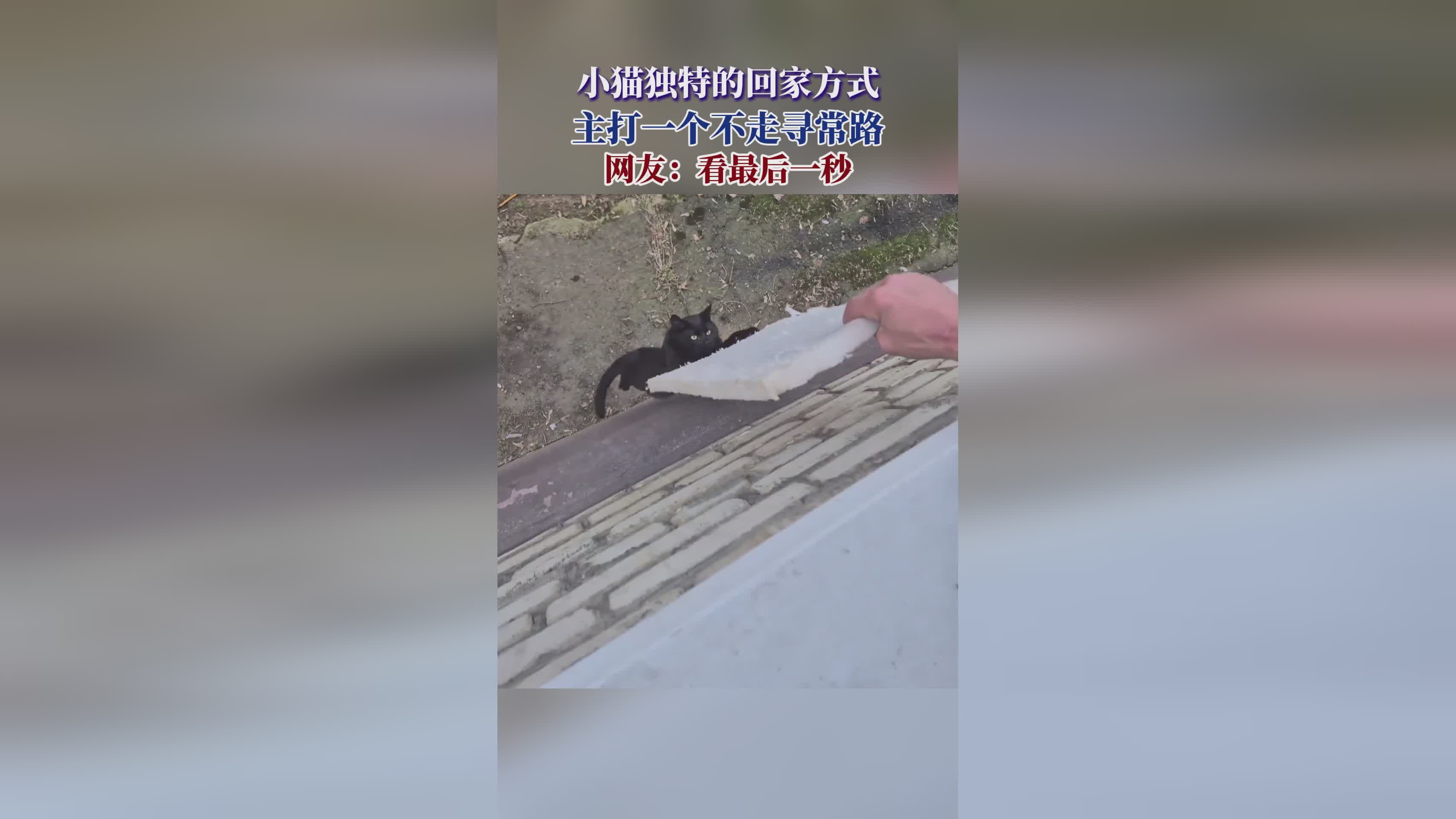 人渣：每一个人物的战斗都有独特的操作方式，可以用不同的技能打出不同的伤害效果