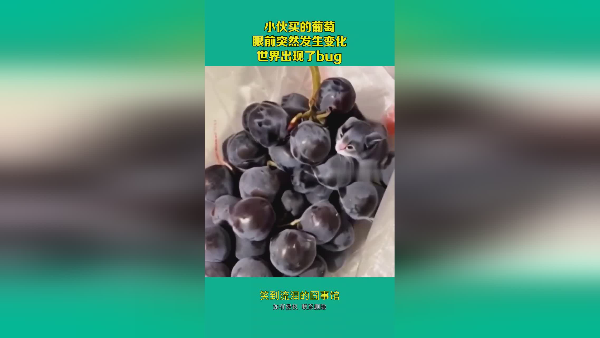 探灵_游戏中所有的NPC的个性都会发生变化