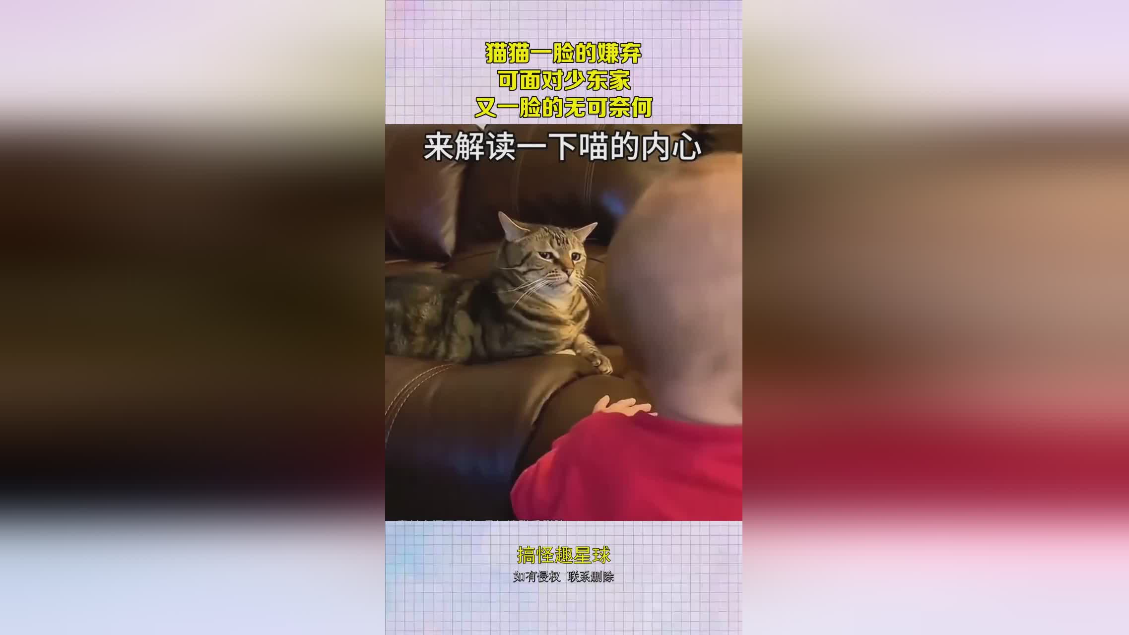维达尔_当时维达尔看到斯卡布斯的时候一脸的嫌弃