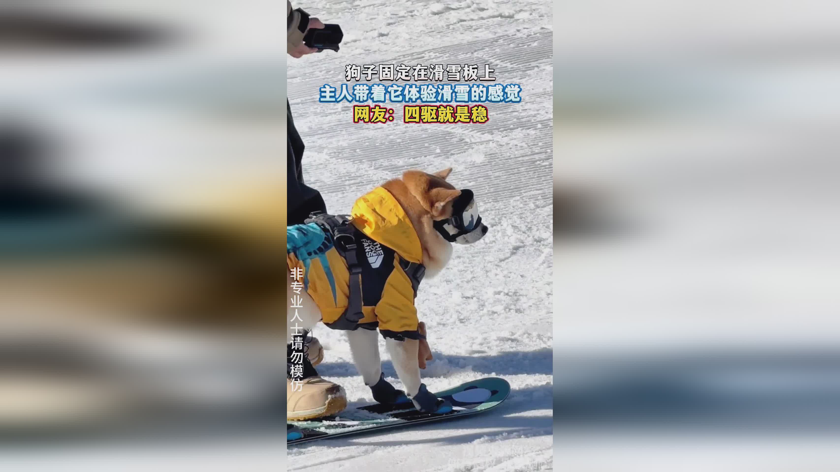 逍遥传奇：从细节中更好地还原了滑雪板上的动作