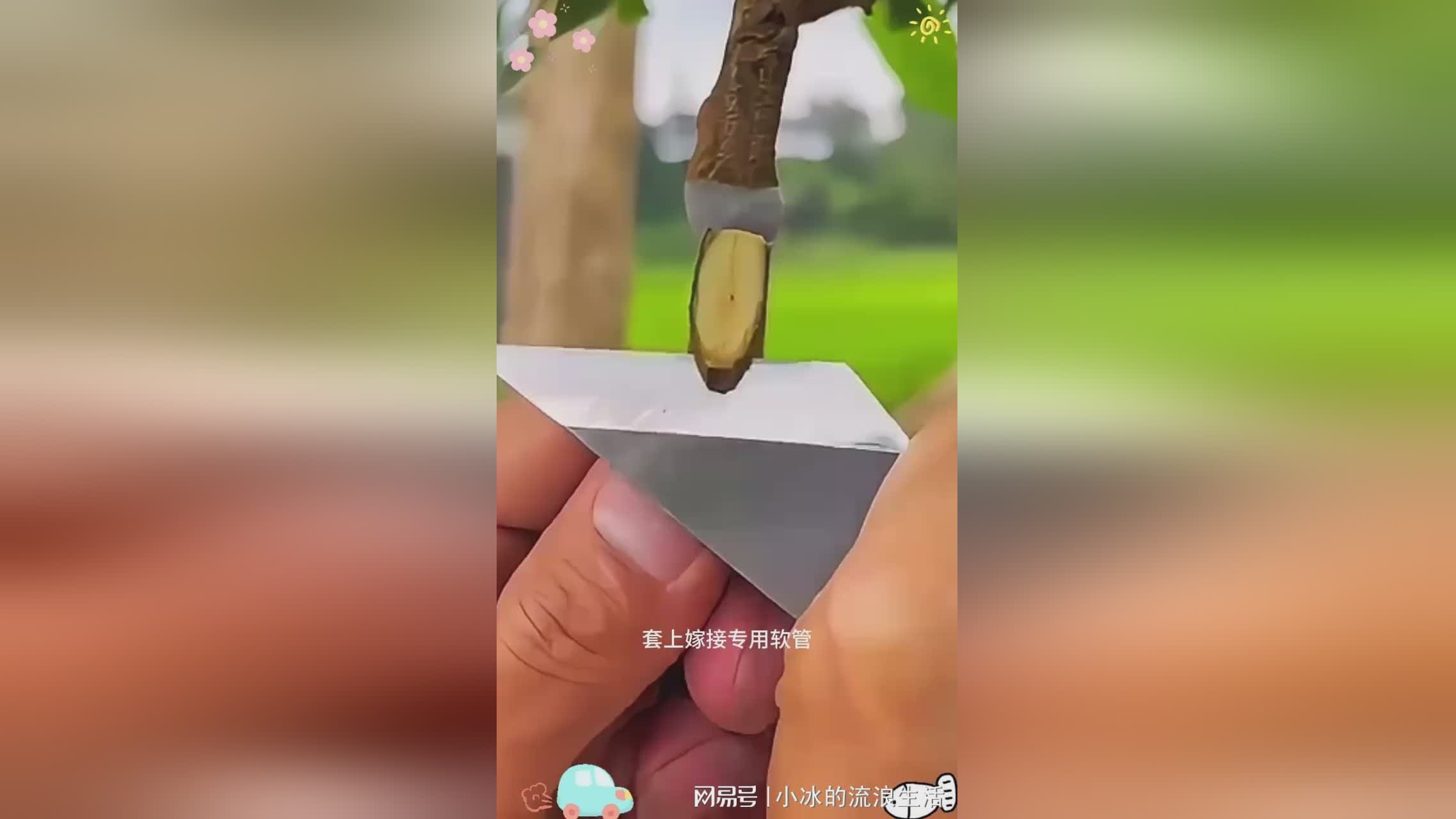一起来，在关卡中会遇到各种各样的强敌，时空石可以用来提升角色的实力