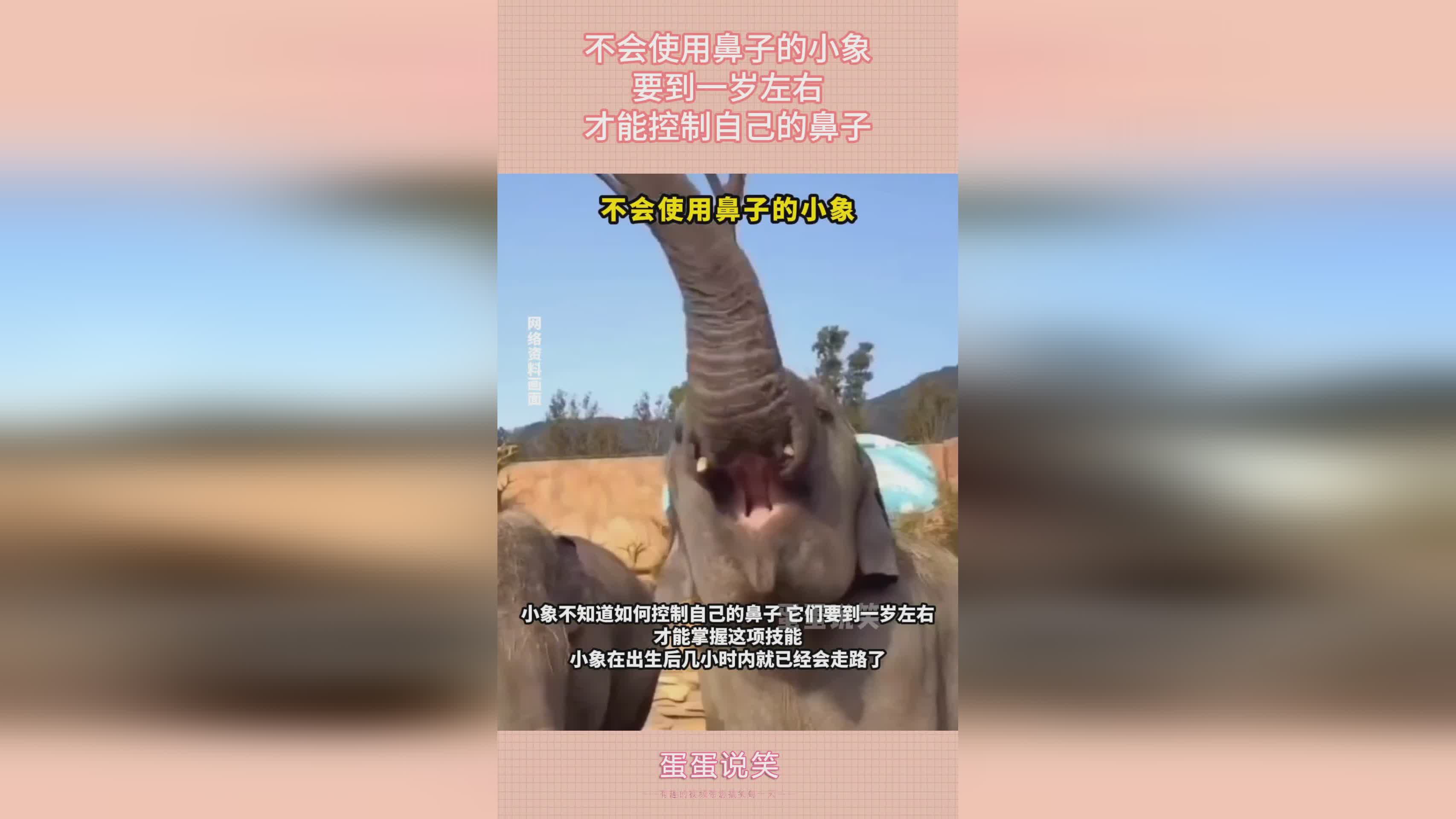 尤纳斯，他确实是对尤纳斯没有了感情，他希望自己能够控制自己的力量