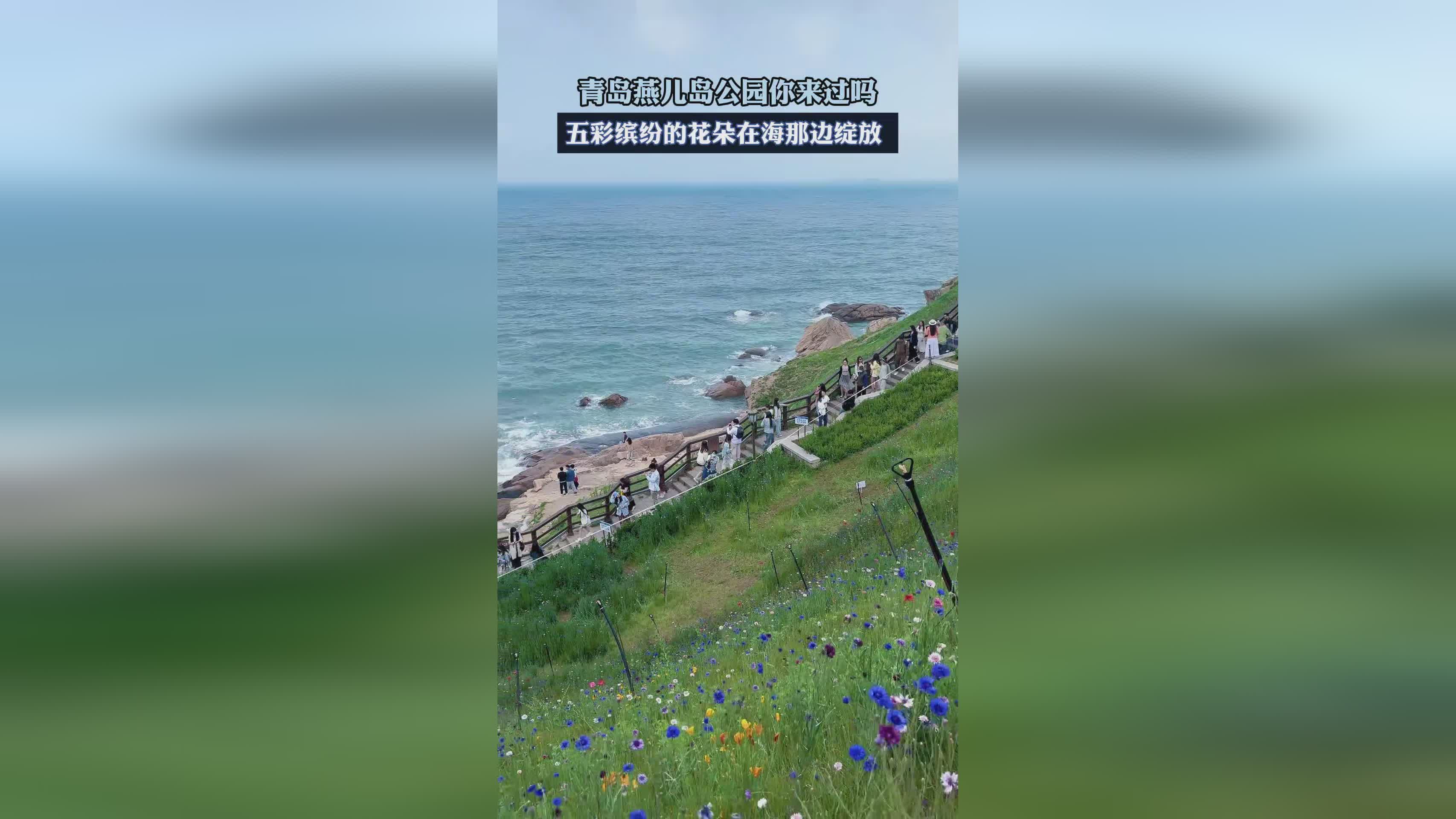 福至五彩_▲福劝县苏西镇亚坑淇村的花朵生机勃勃