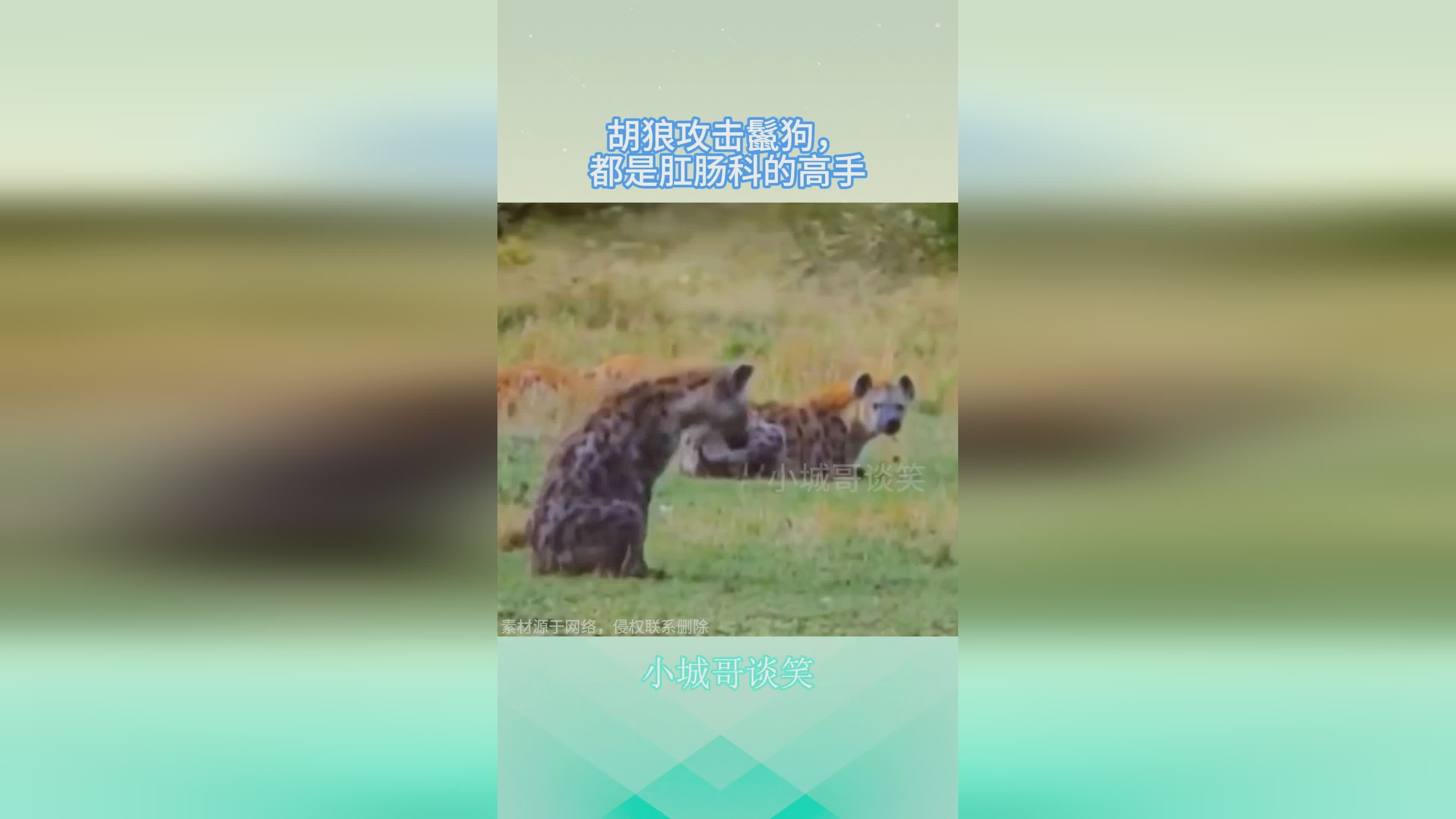 仙魔，九界中有许多神魔都是天庭来攻击的，地狱相互交流的一个地方
