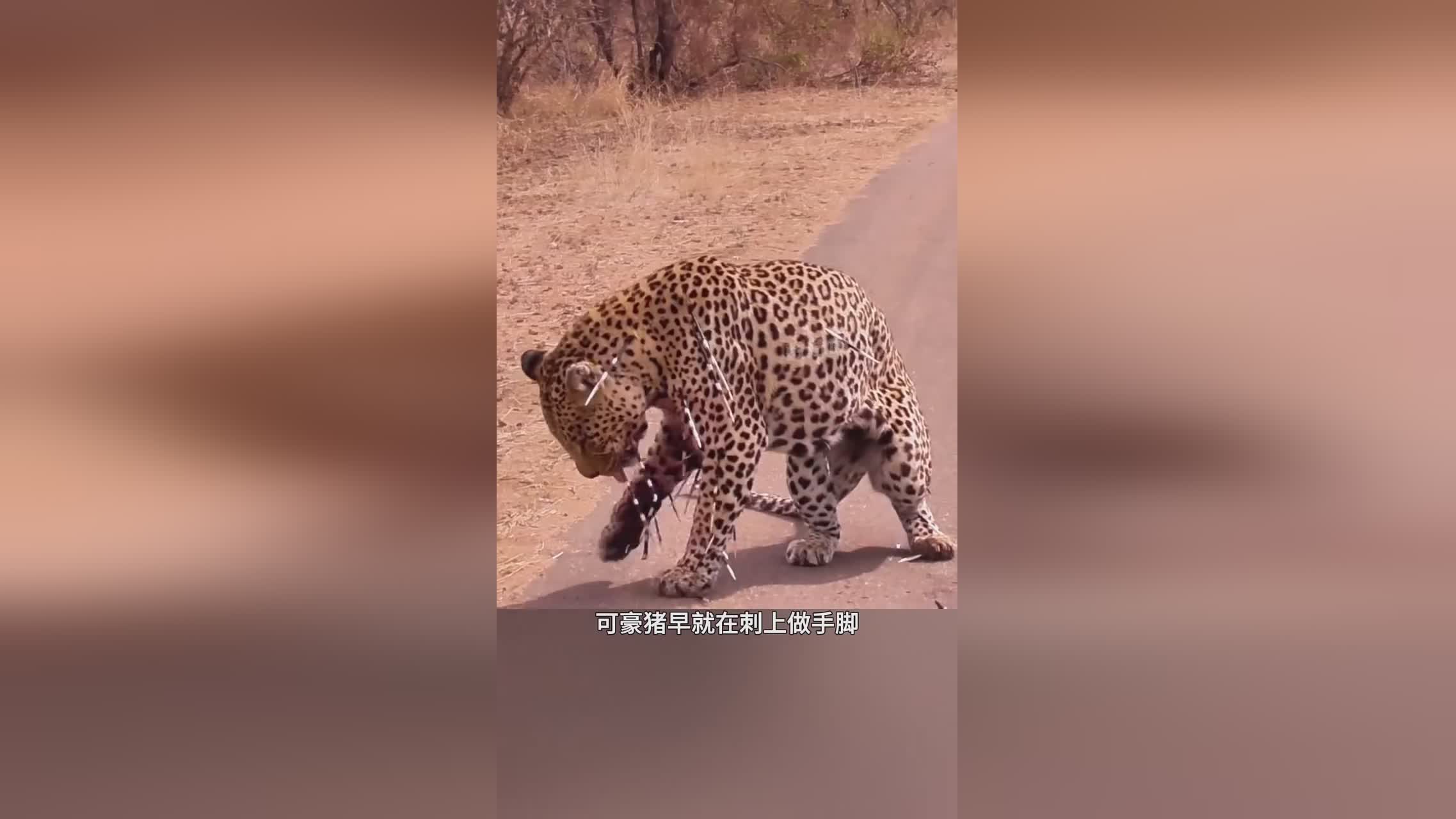 炫舞_玩家可以使用枪械来攻击敌人，当我们发现敌人有子弹追踪的动作时