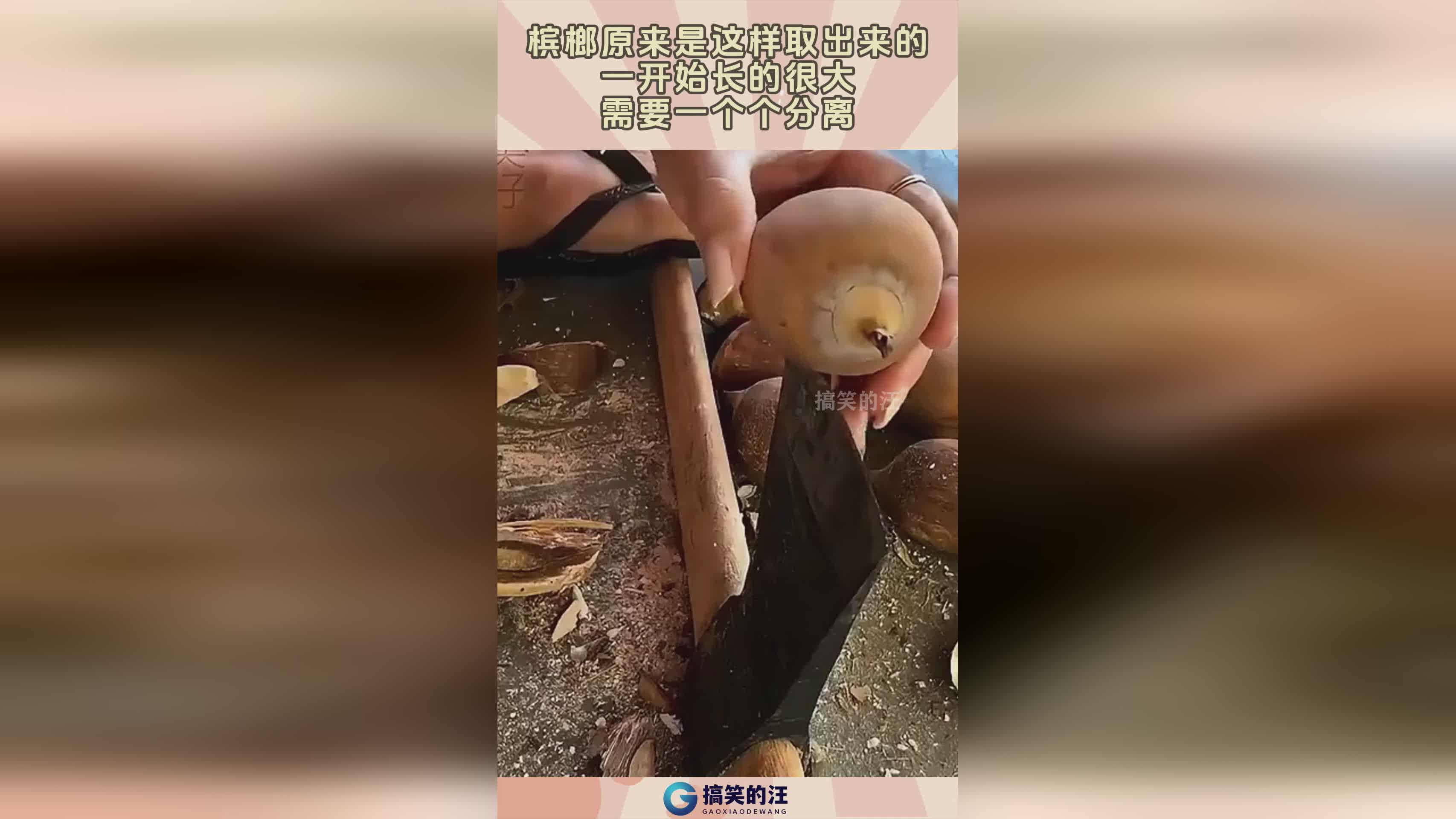 御剑飞天_你需要从这里开始一个个地点进行搜寻