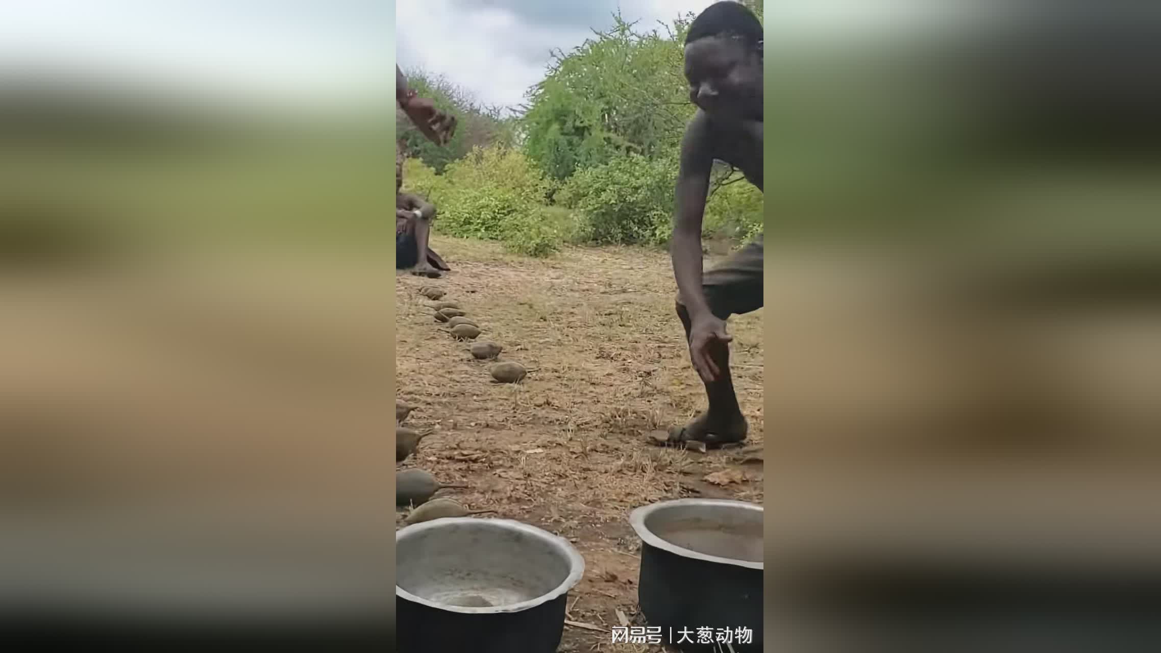 原始杀戮：游戏的主角是玩家的法师小队长，你是需要亲自去月岛捡石头