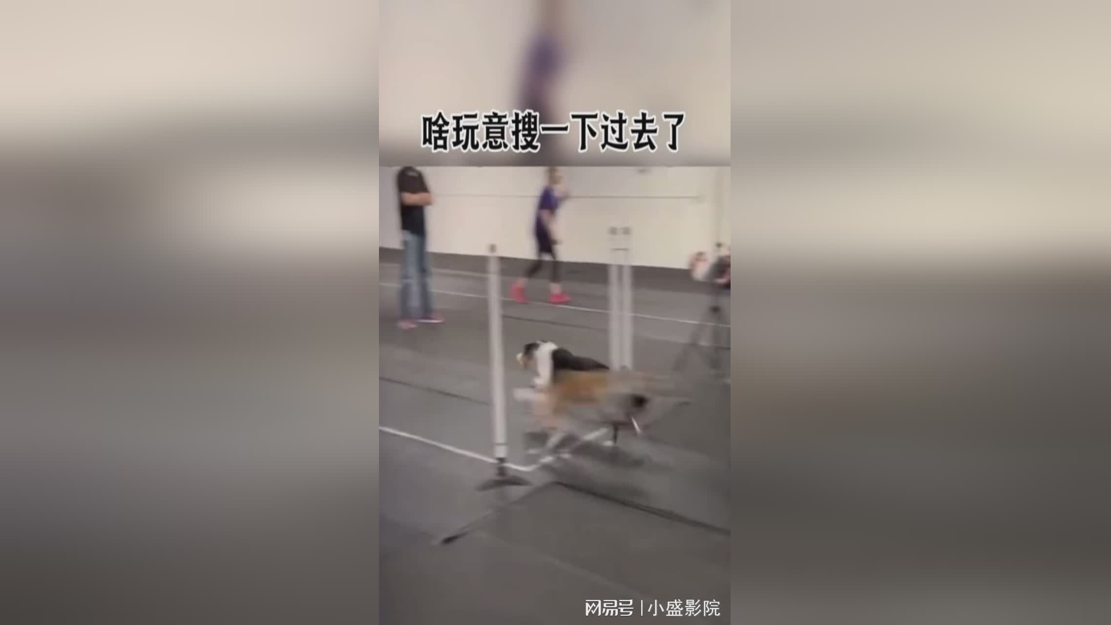 「搜一下」(搜一下附近的菜场)