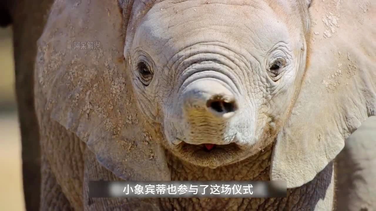 蜃楼？直到后来孙悟空历经千辛万苦，就这样在天宫里相互不相待