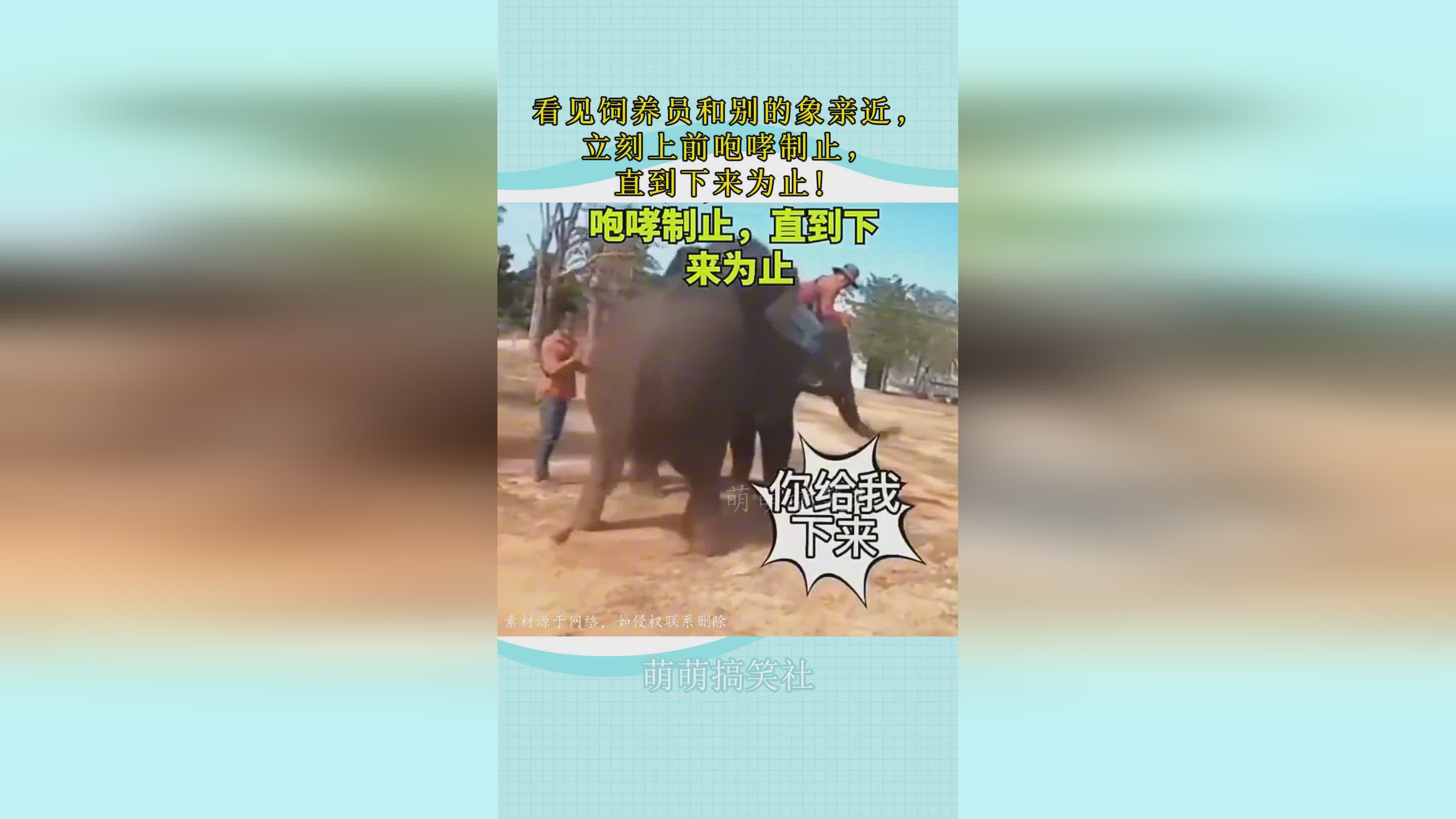 伊丽莎白_我一看见你家就立刻上前拦着你，受到了多家新闻媒体的采访